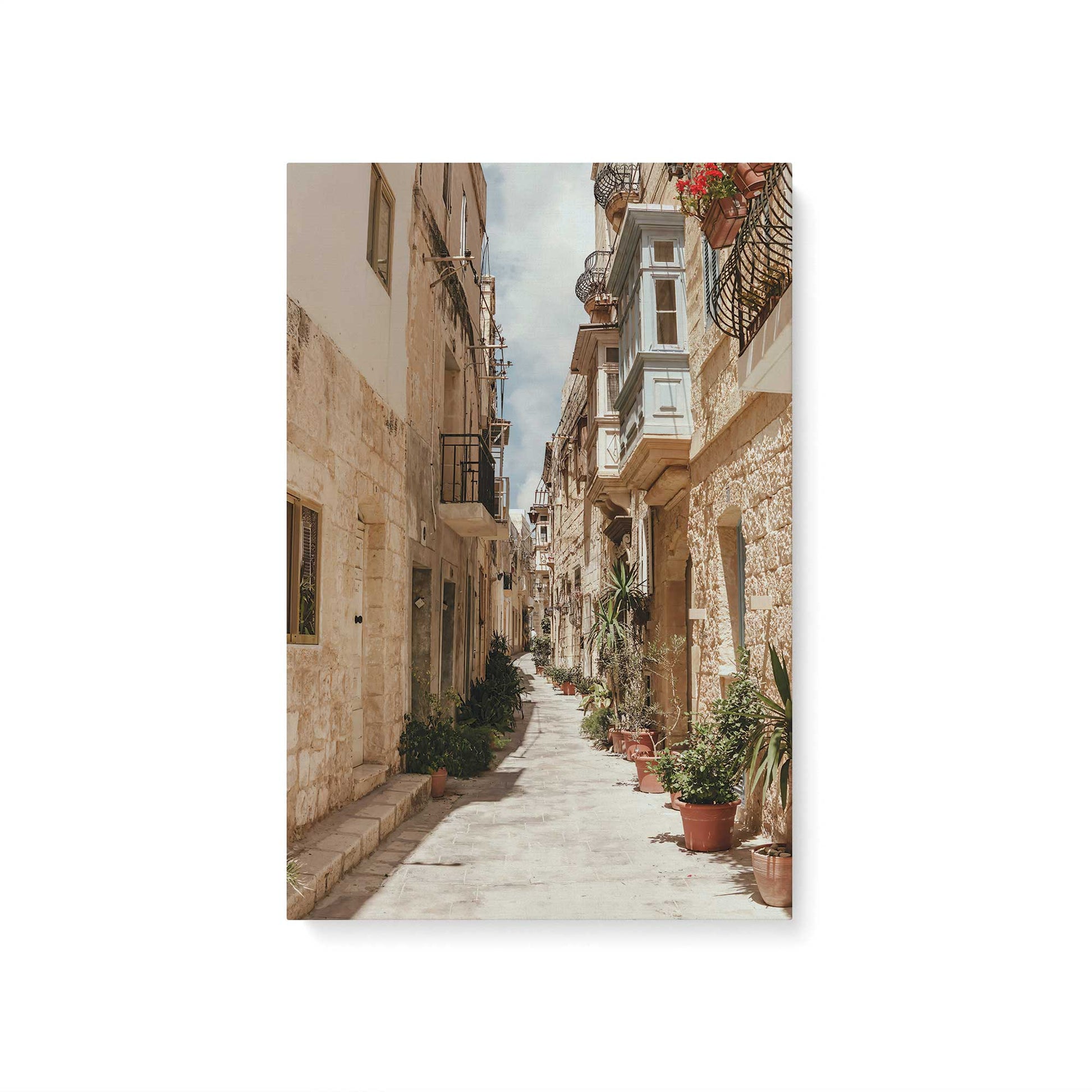 [Color:Stretched Canvas], Picture of art
