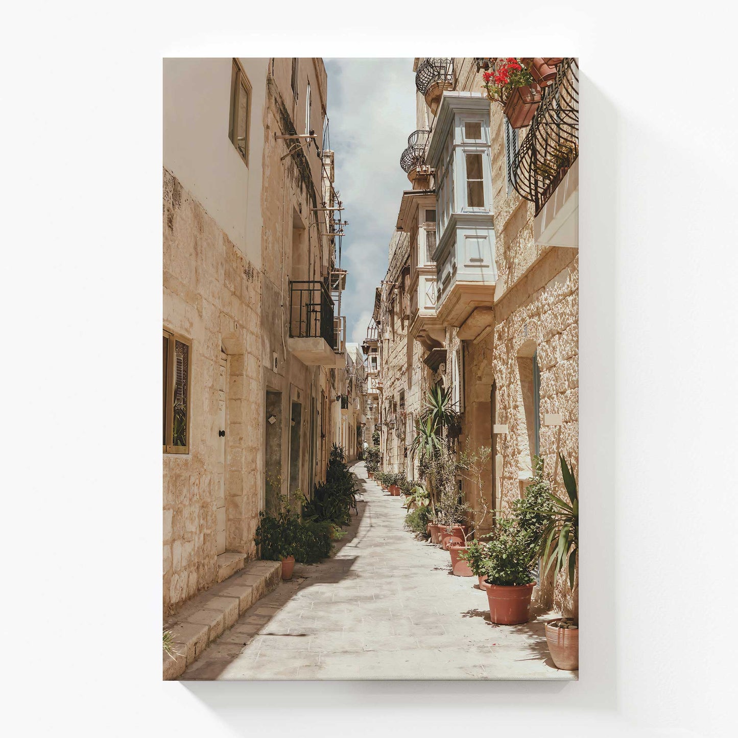 [Color:Stretched Canvas], Picture of art