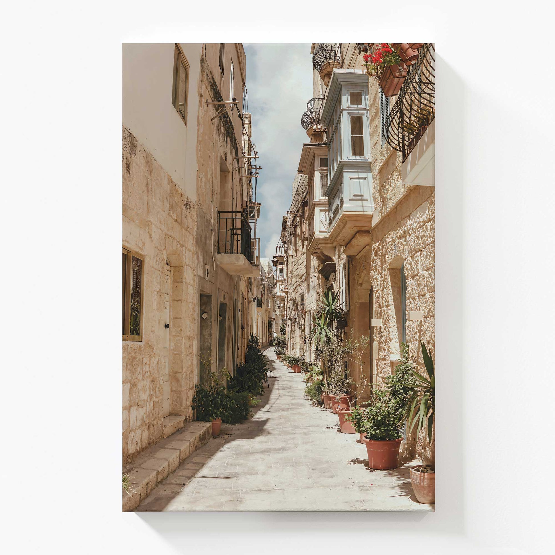 [Color:Stretched Canvas], Picture of art