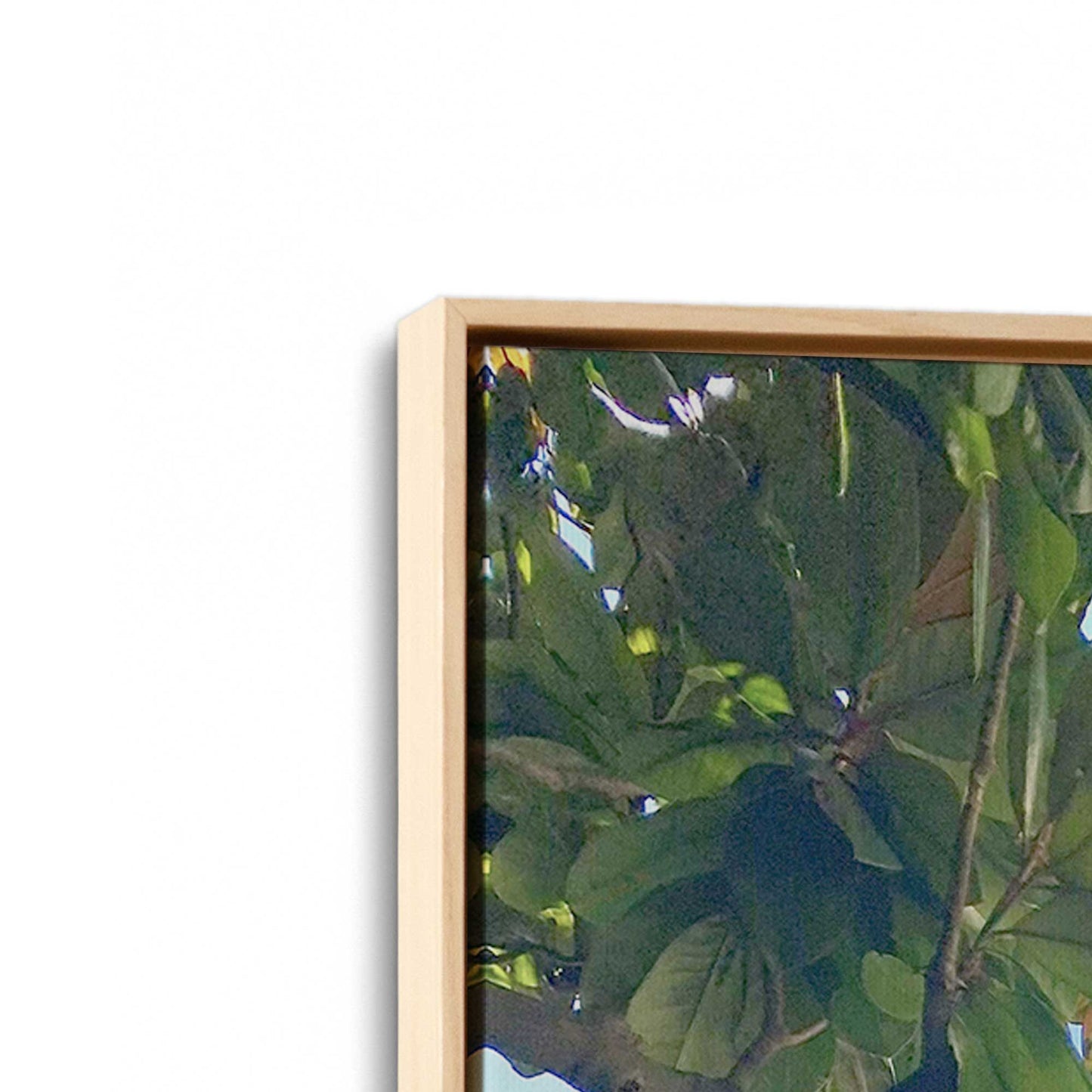 [Color:American Maple], Picture of art in a American Maple frame at an angle