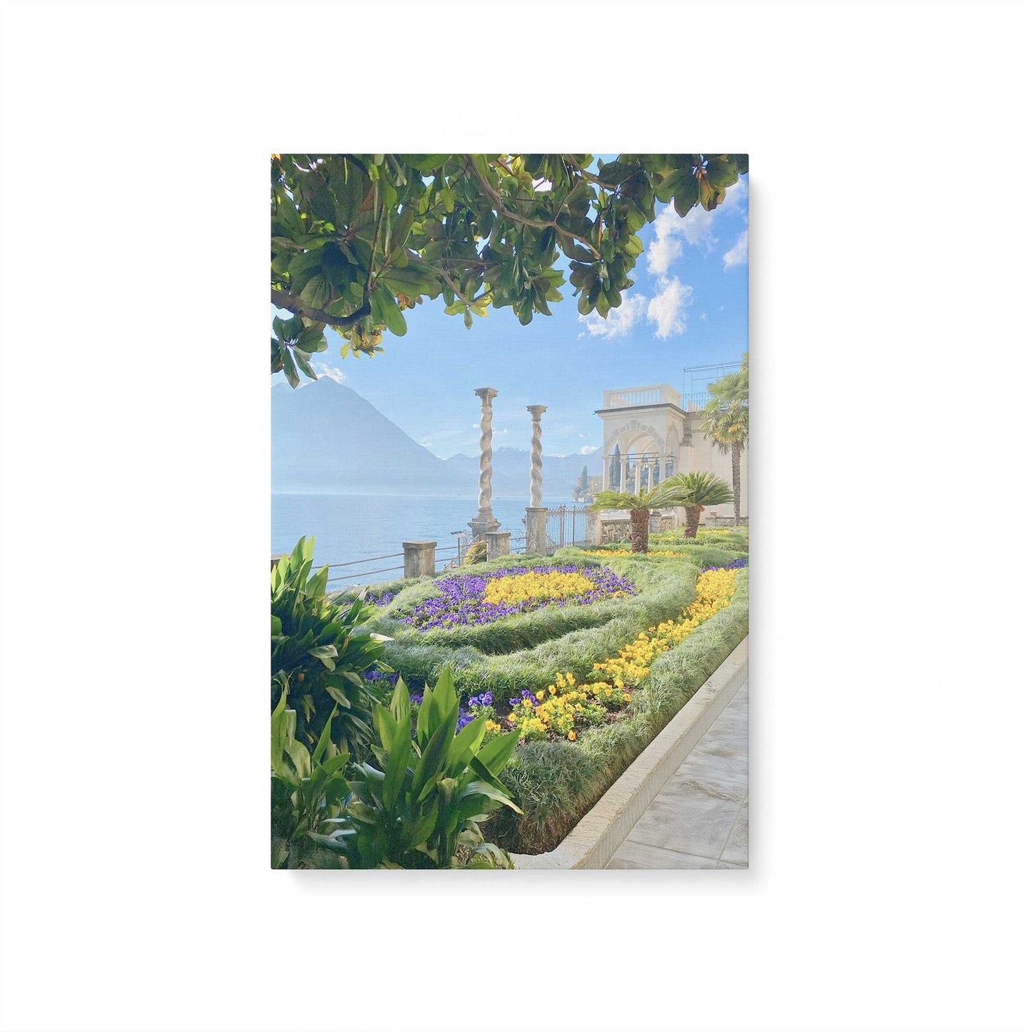[Color:Stretched Canvas], Picture of art