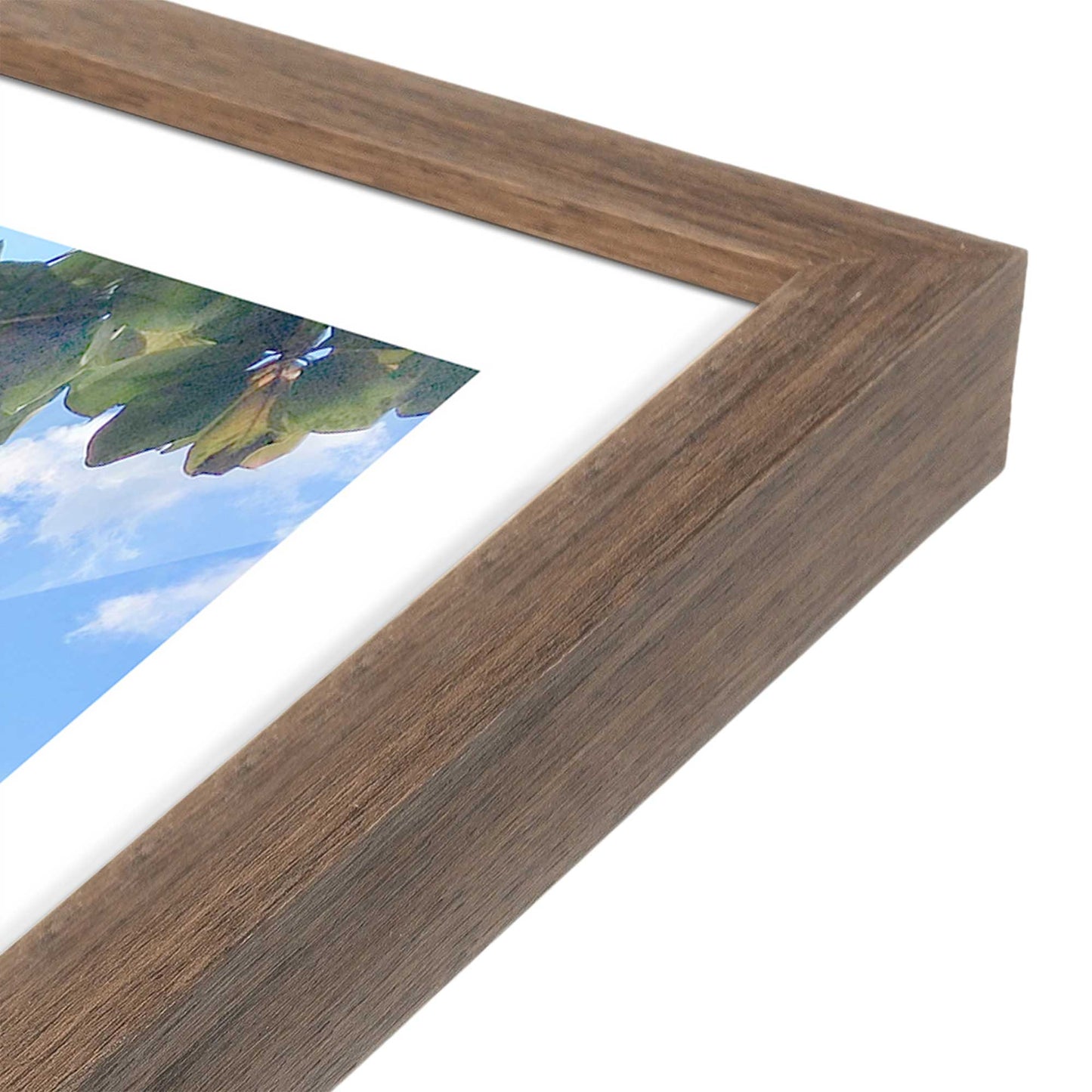 [Color:Walnut], Picture of art in a Walnut frame at an angle