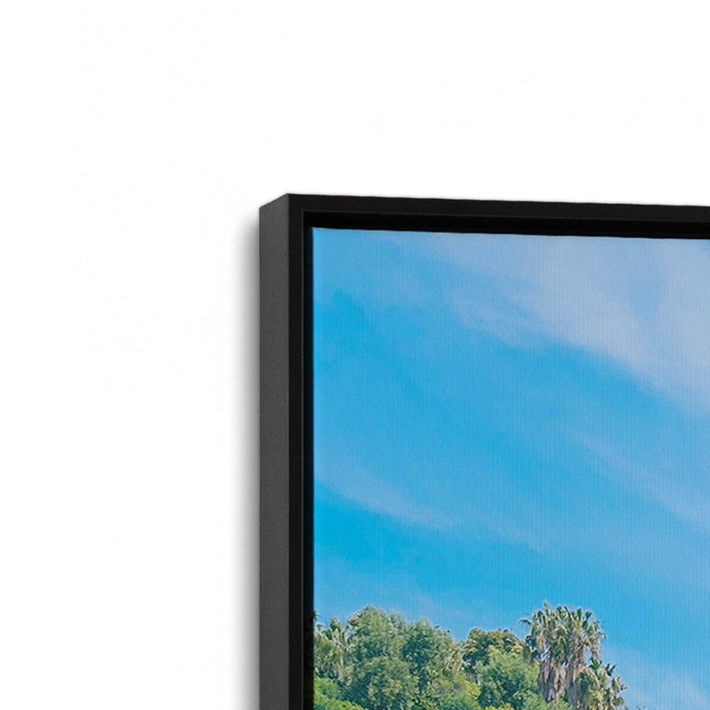[Color:Satin Black], Picture of art in a Satin Black frame at an angle