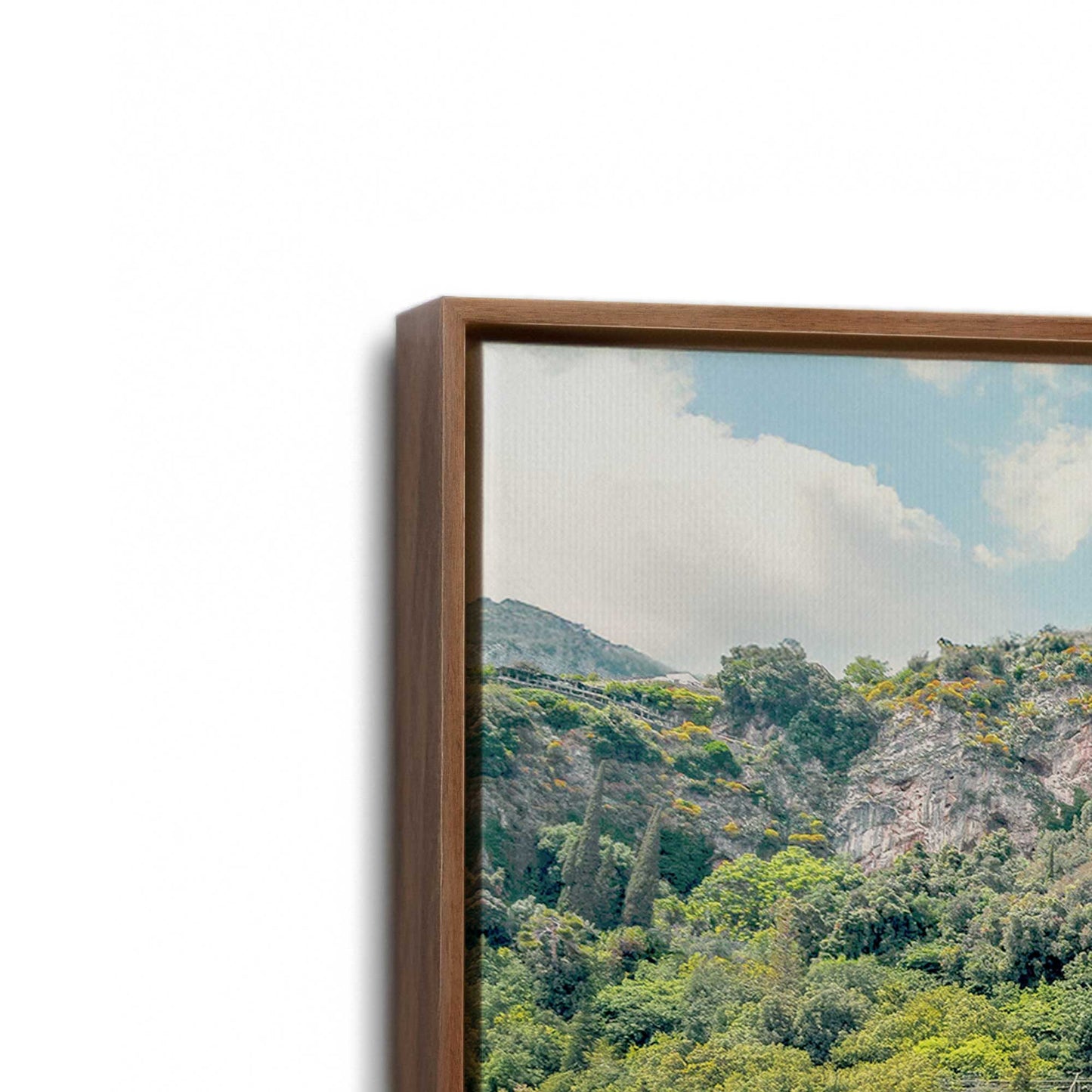 [Color:Walnut], Picture of art in a Walnut frame at an angle