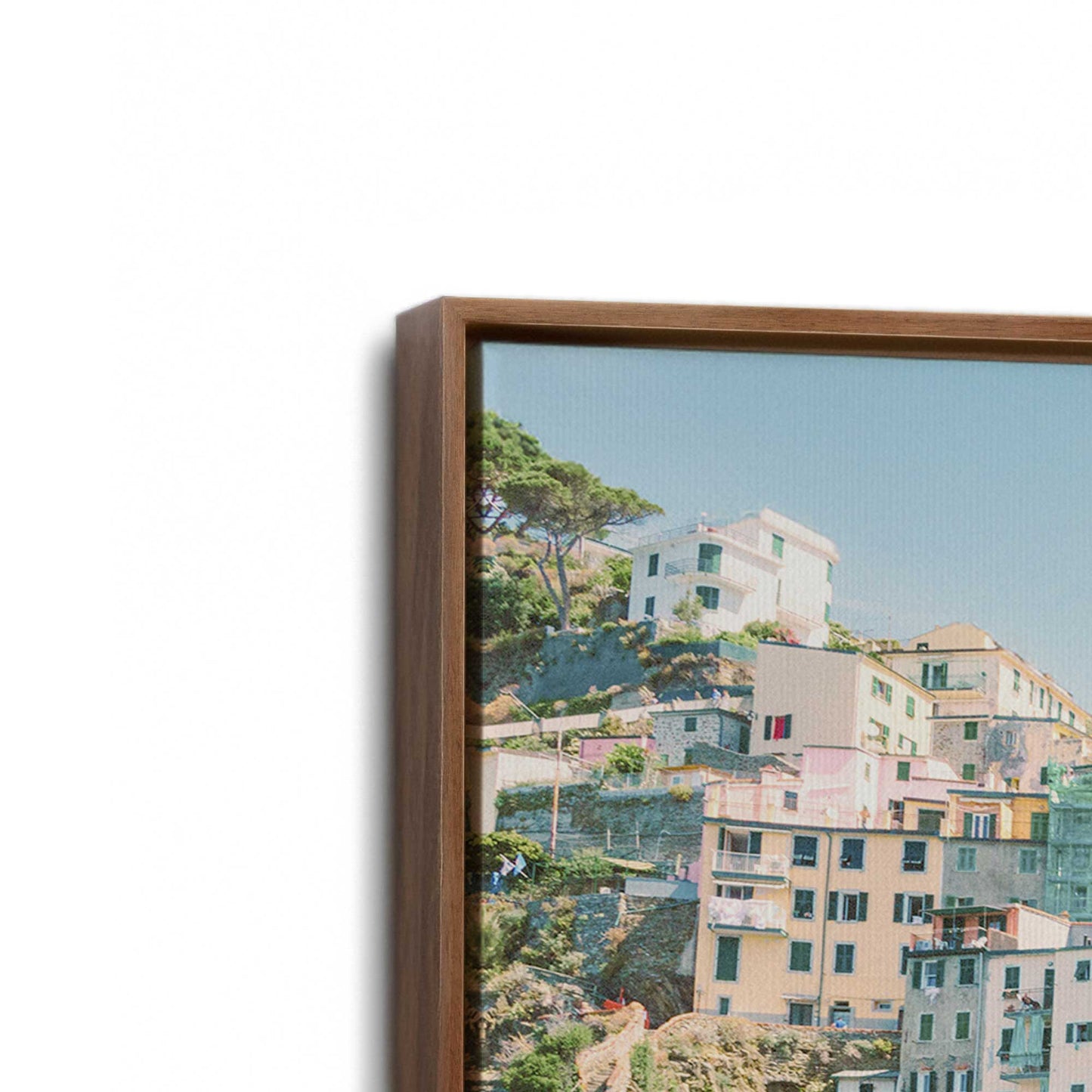 [Color:Walnut], Picture of art in a Walnut frame at an angle