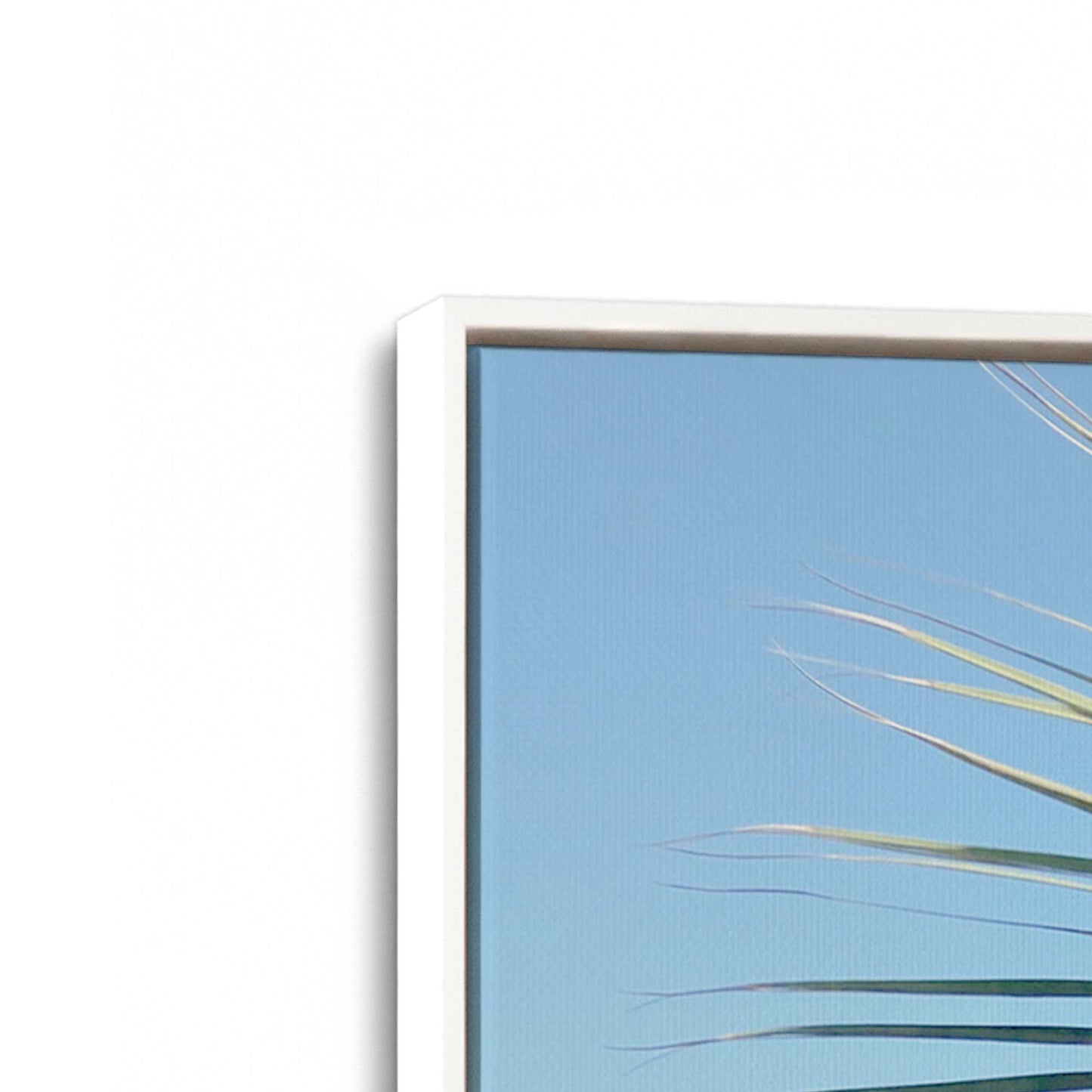 [Color:Opaque White], Picture of art in a White frame at an angle