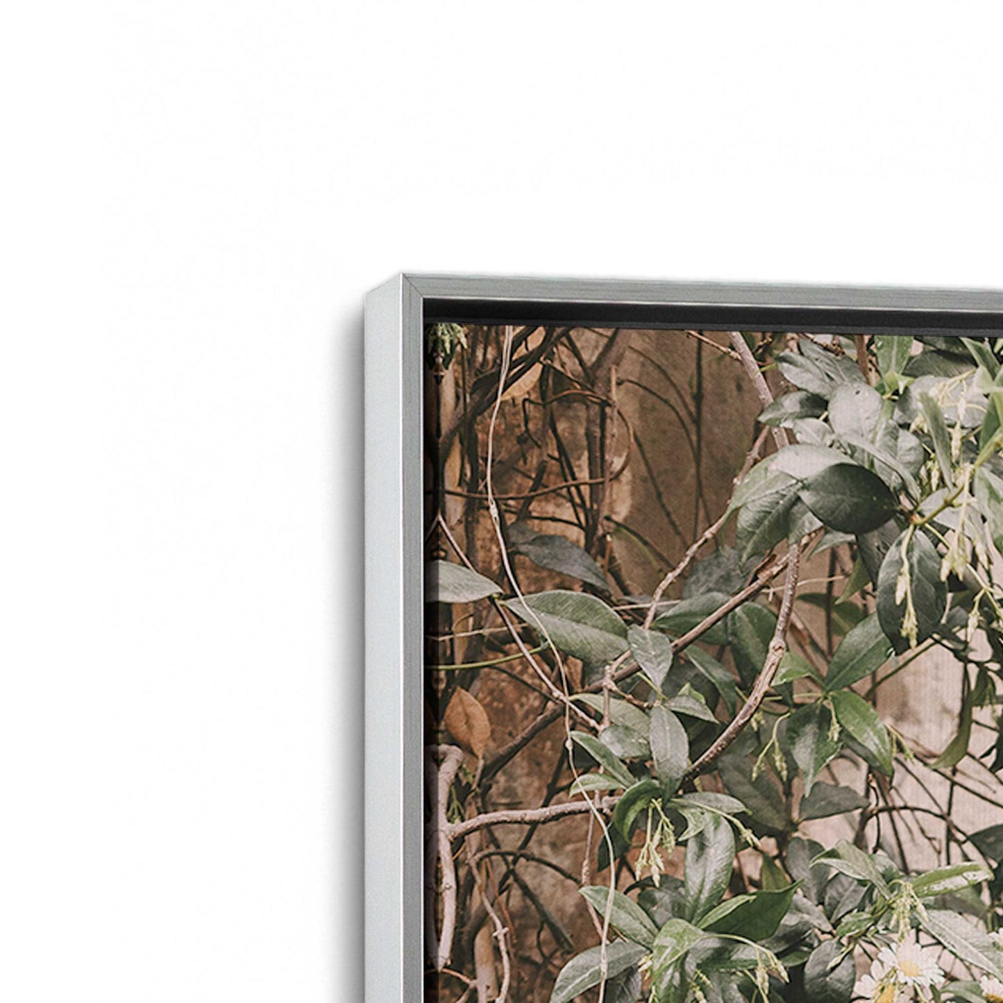 [Color:Polished Chrome], Picture of art in a Polished Chrome frame at an angle