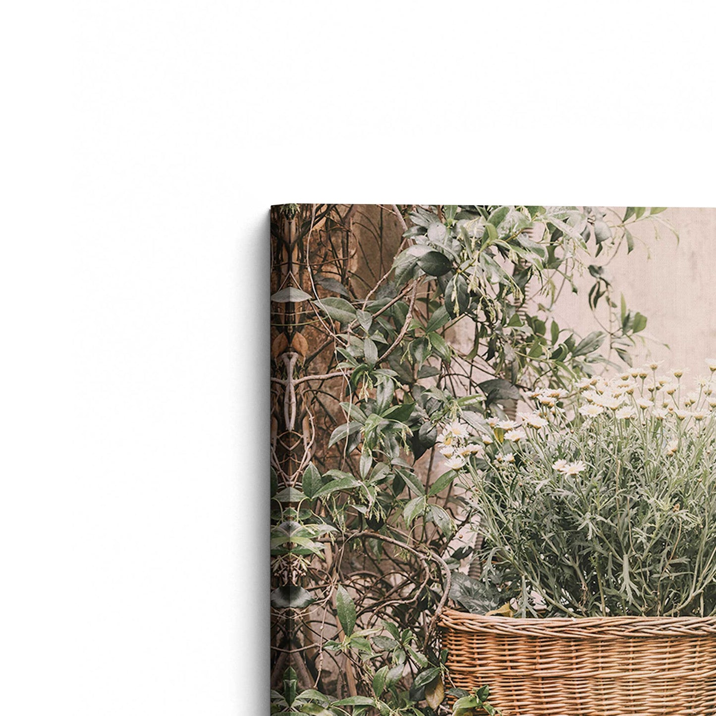 [Color:Stretched Canvas], Picture of the corner of the art