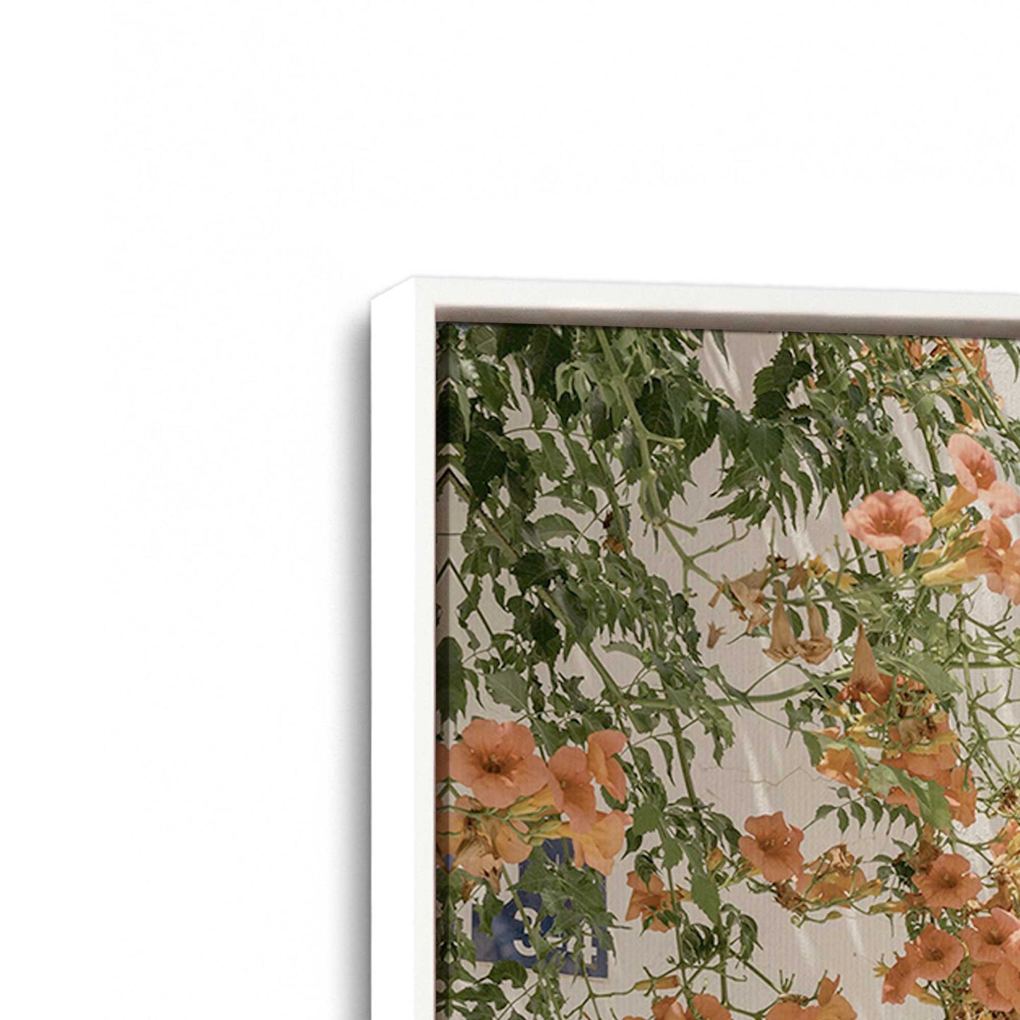 [Color:Opaque White], Picture of art in a White frame at an angle