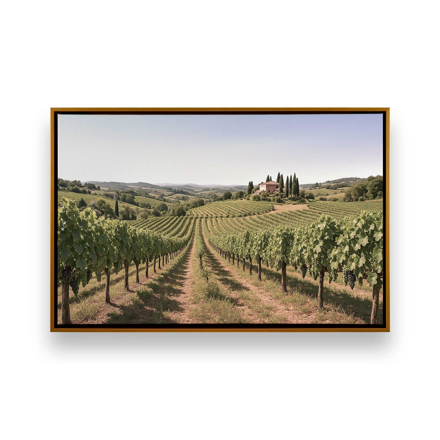 [Color:Polished Gold], Picture of art in a Polished Gold frame