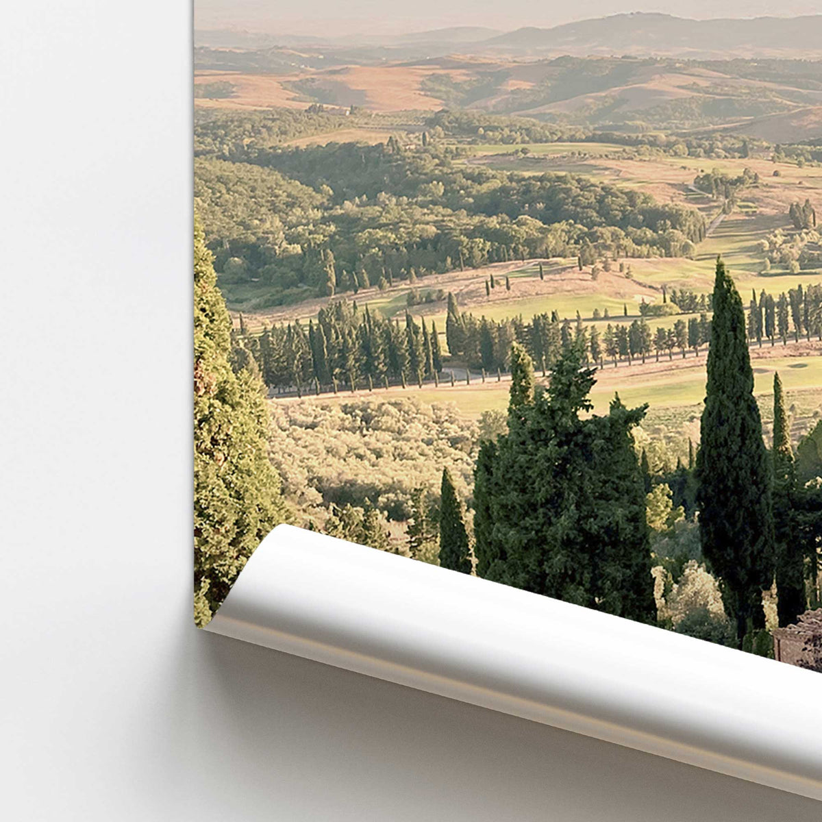Tuscan Glow Print