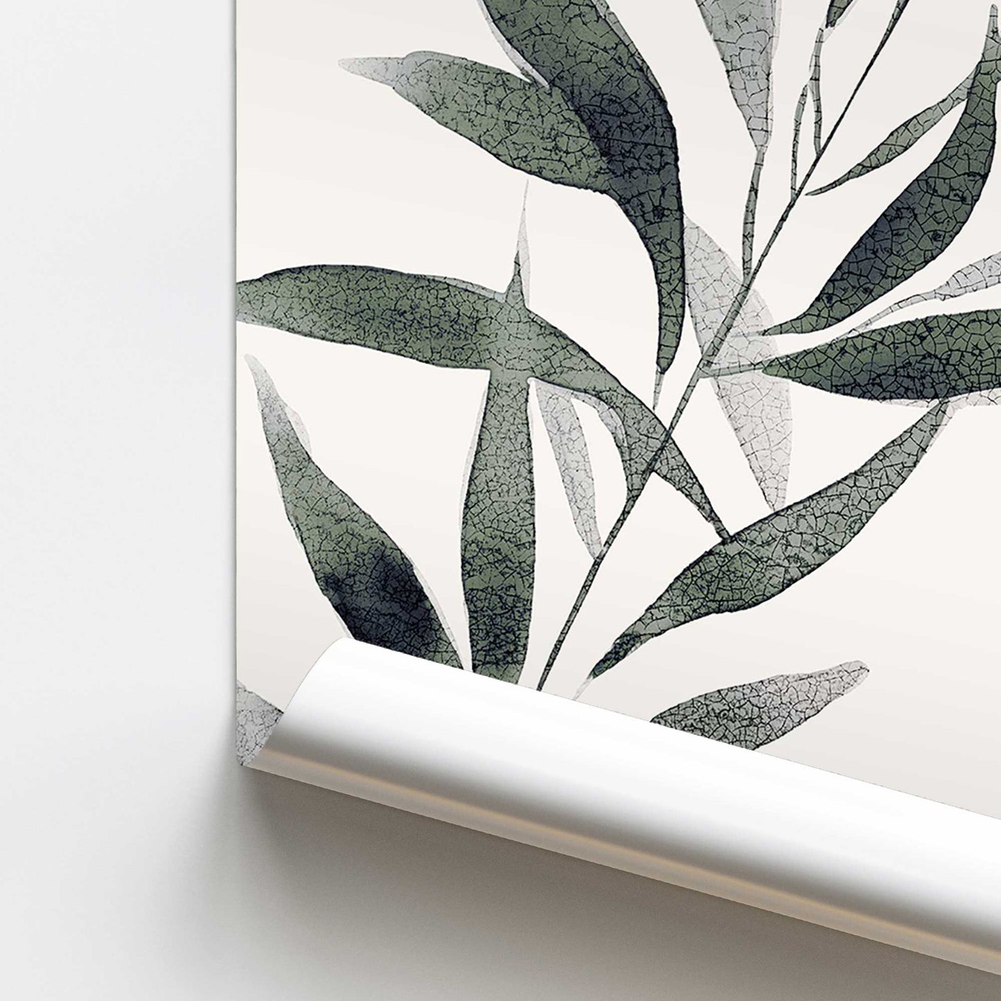 Monochrome Botanica v3 Promotional Rolled Print