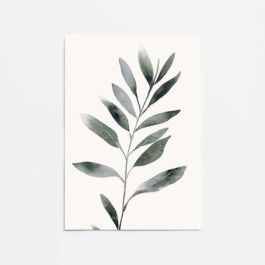 Monochrome Botanica v4 Promotional Rolled Print