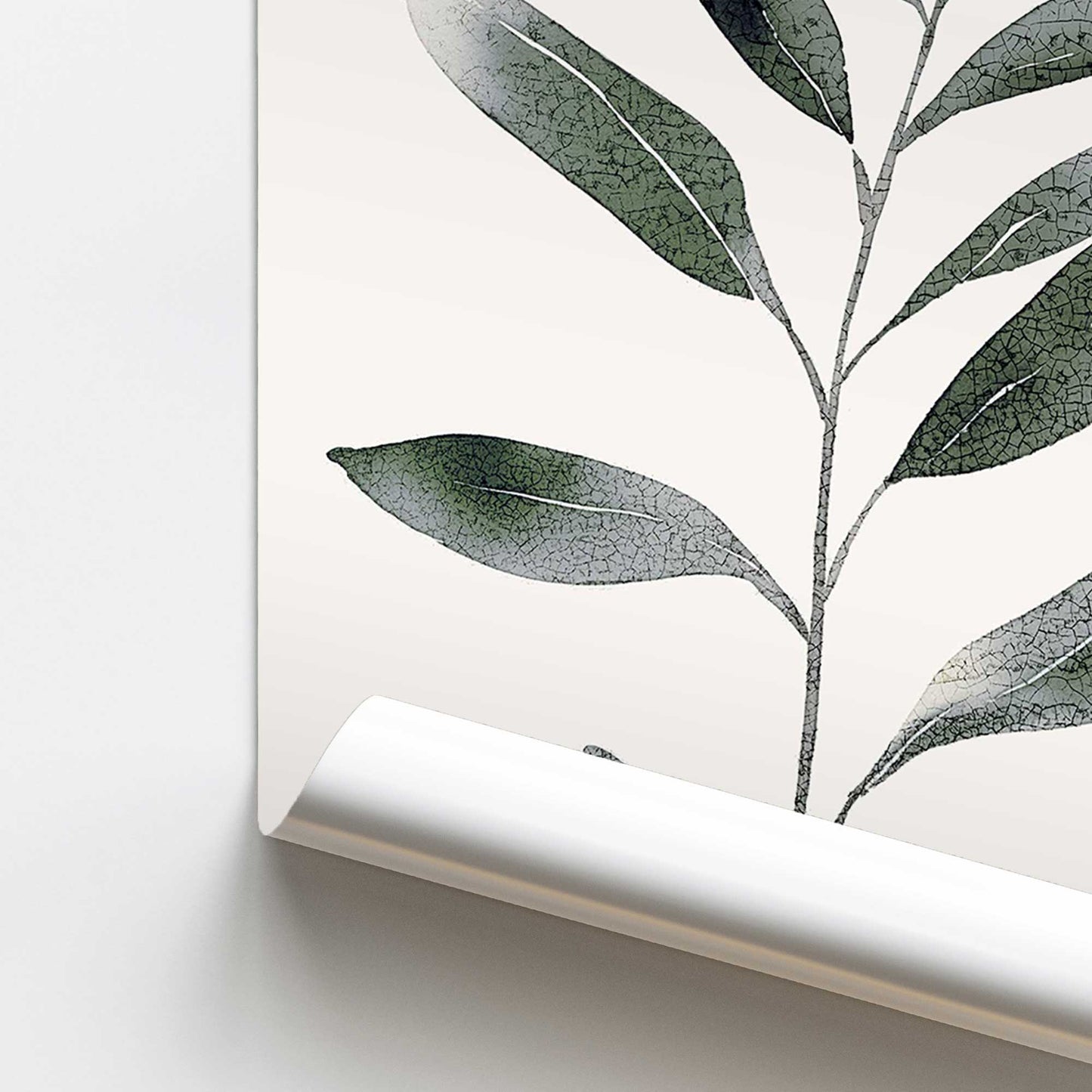 Monochrome Botanica v4 Promotional Rolled Print