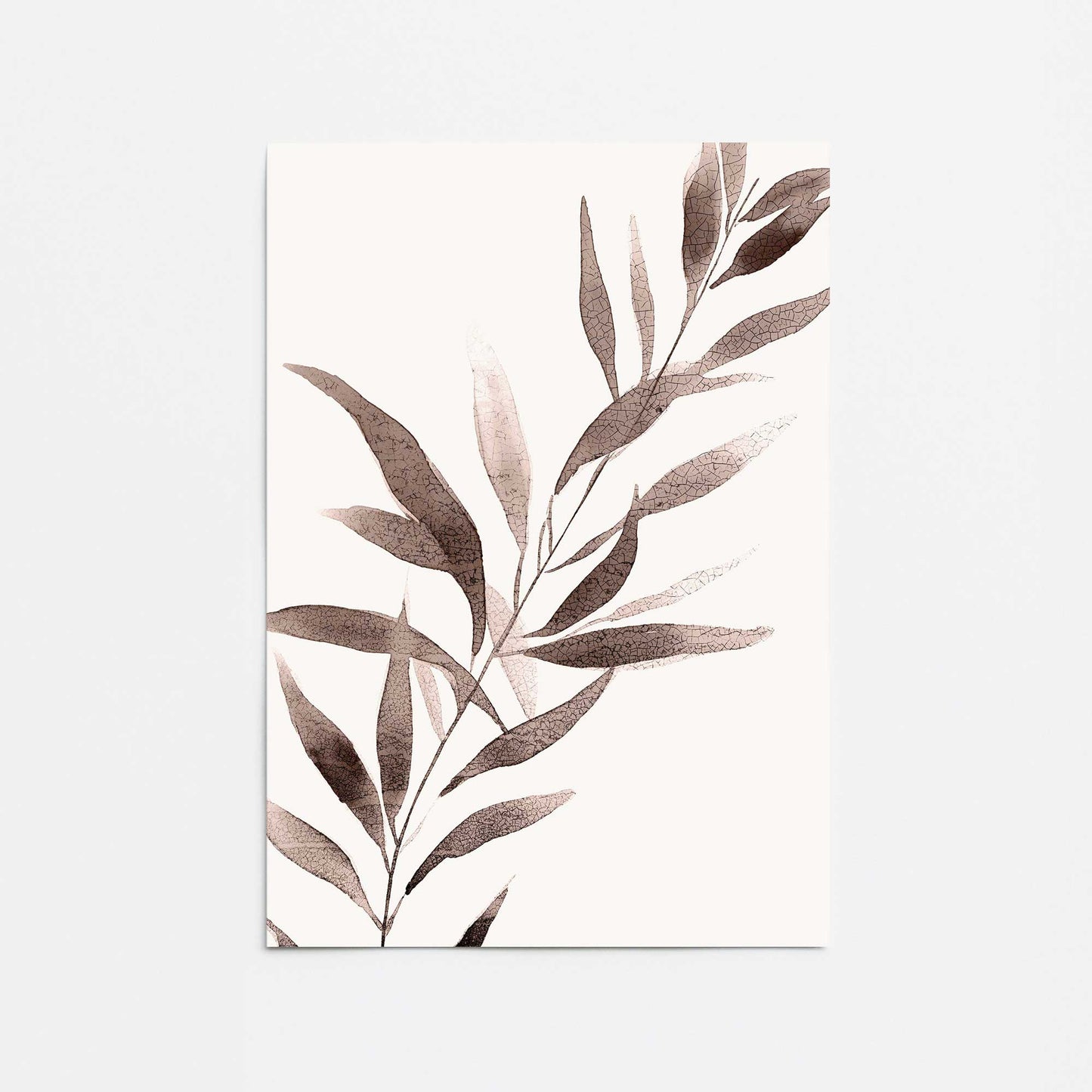 Monochrome Botanica v5 Promotional Rolled Print