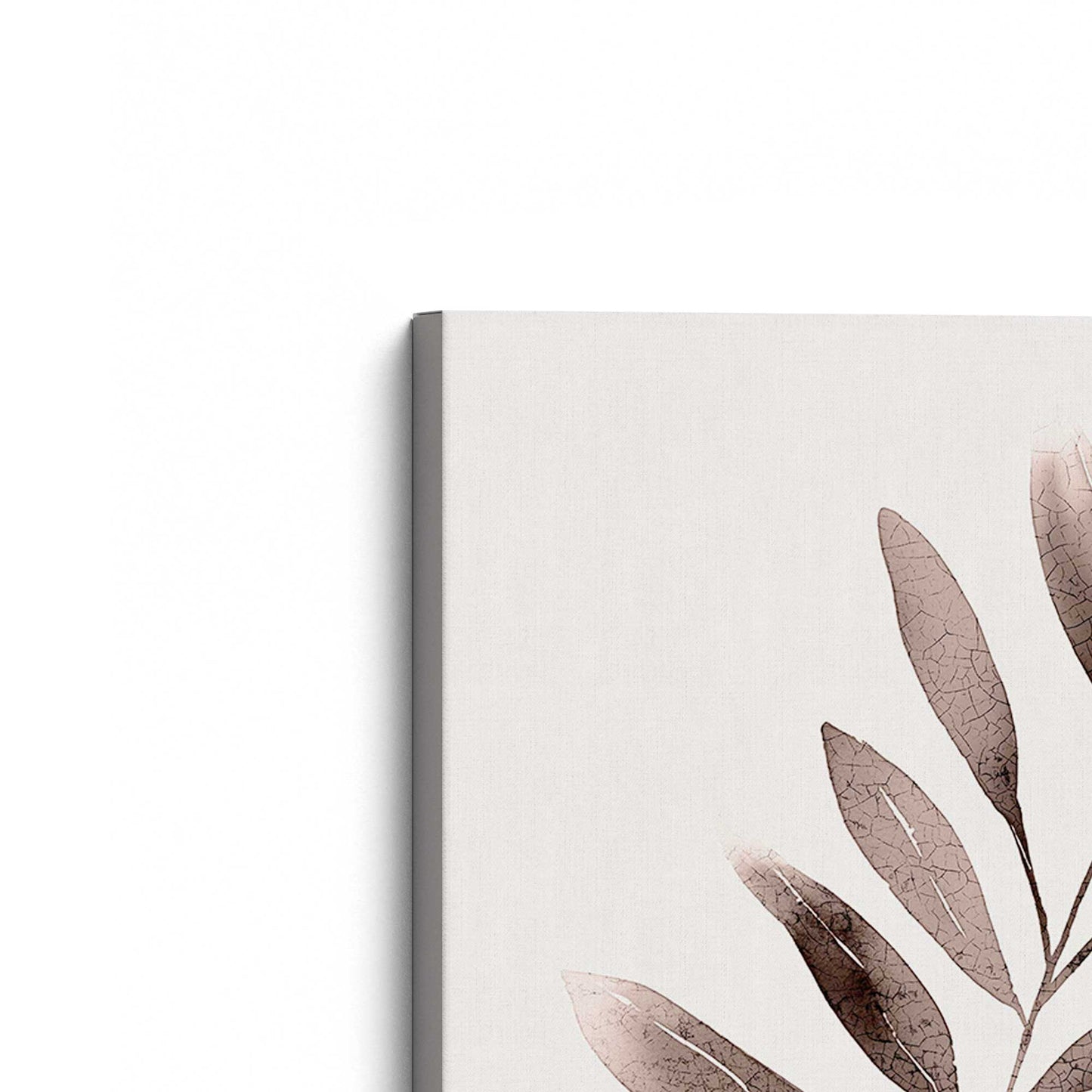 Monochrome Botanica v1 (Rose) Set of 2 Print on Canvas