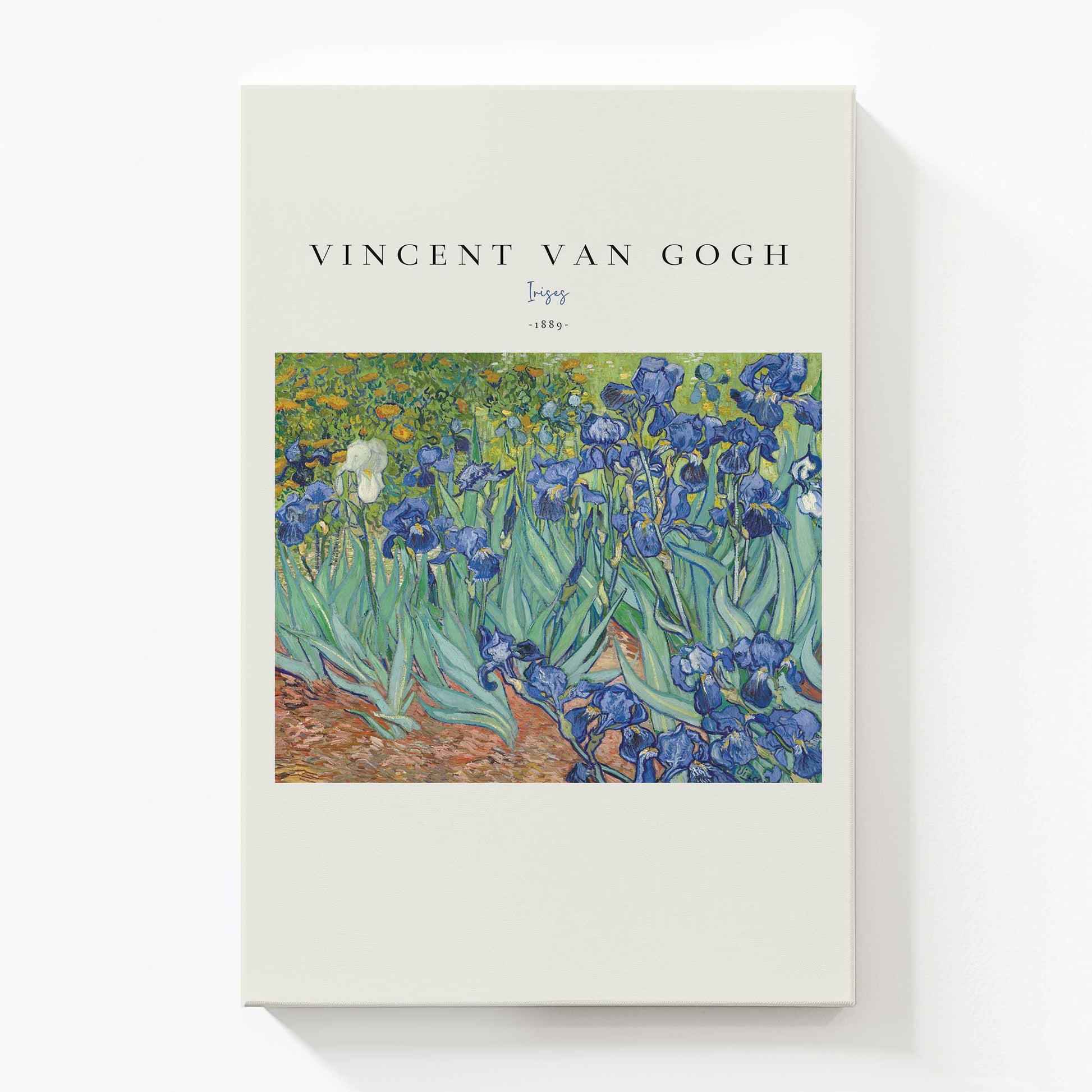 [Color:Stretched Canvas], Picture of art