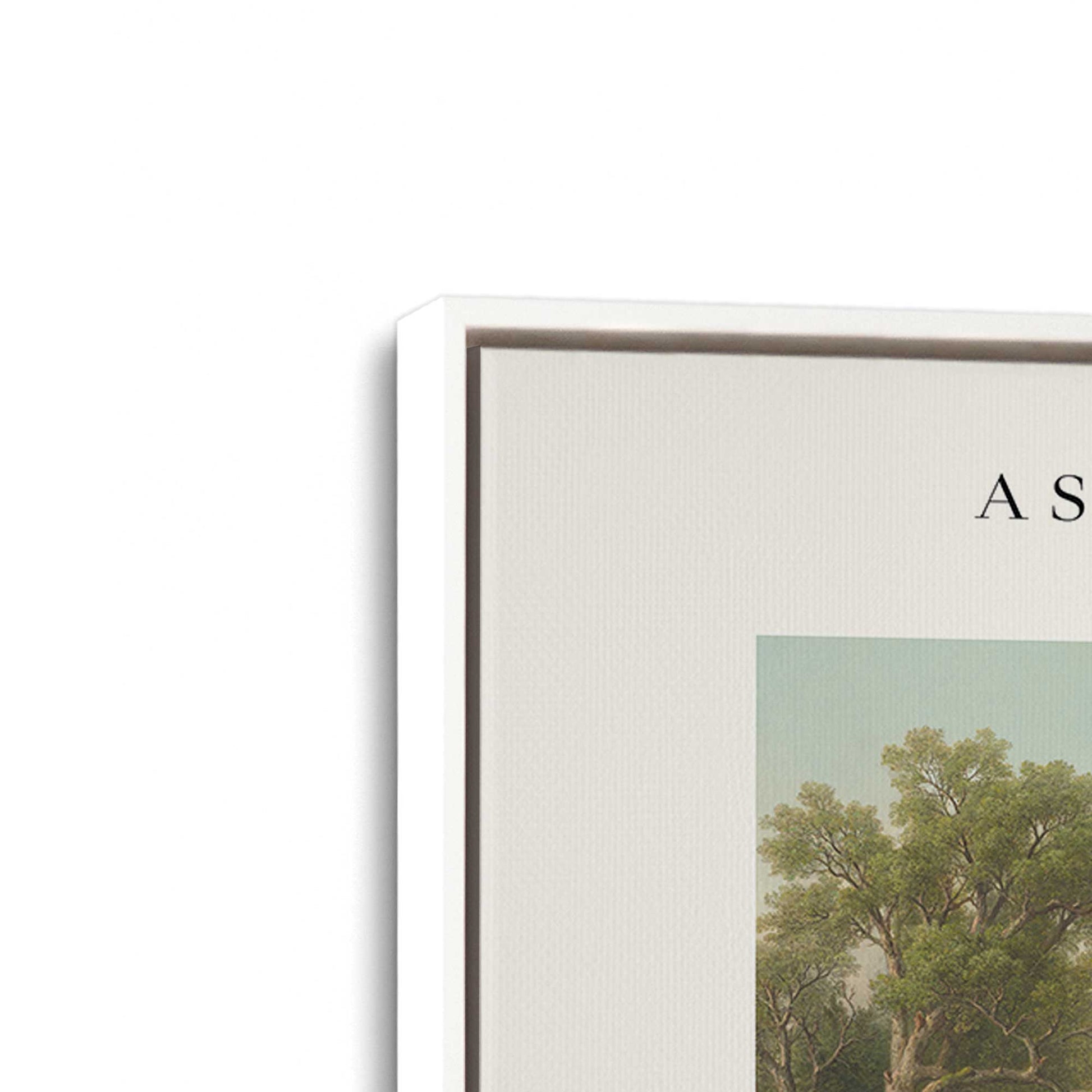 [Color:Opaque White], Picture of art in a White frame at an angle