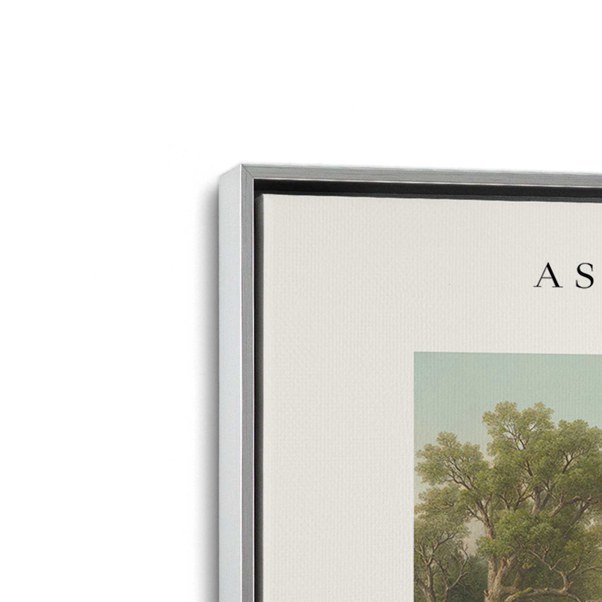 [Color:Polished Chrome], Picture of art in a Polished Chrome frame at an angle