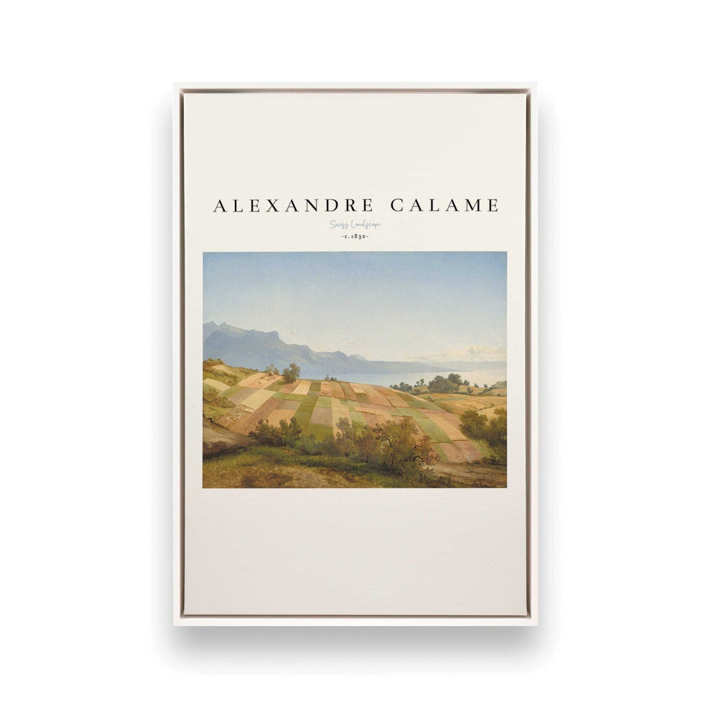 [Color:Opaque White], Picture of art in a White frame