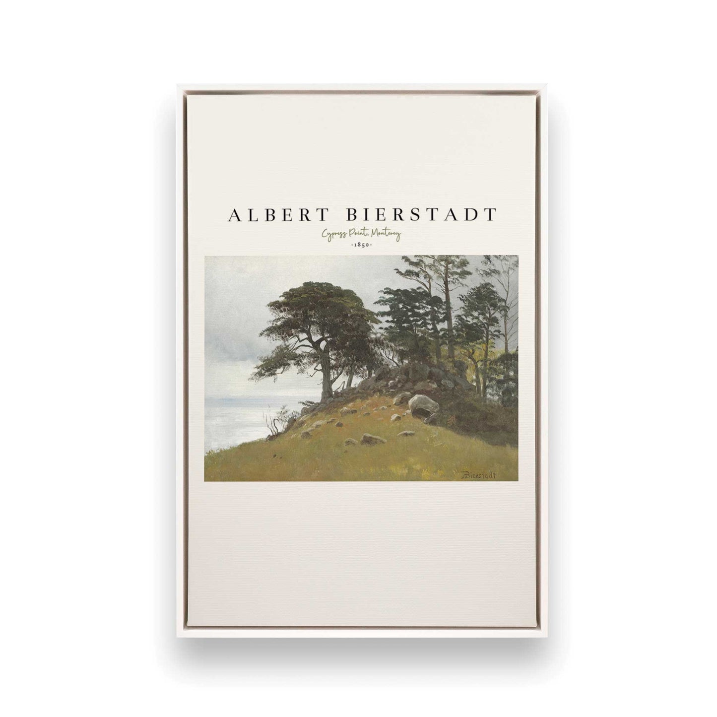 [Color:Opaque White], Picture of art in a White frame