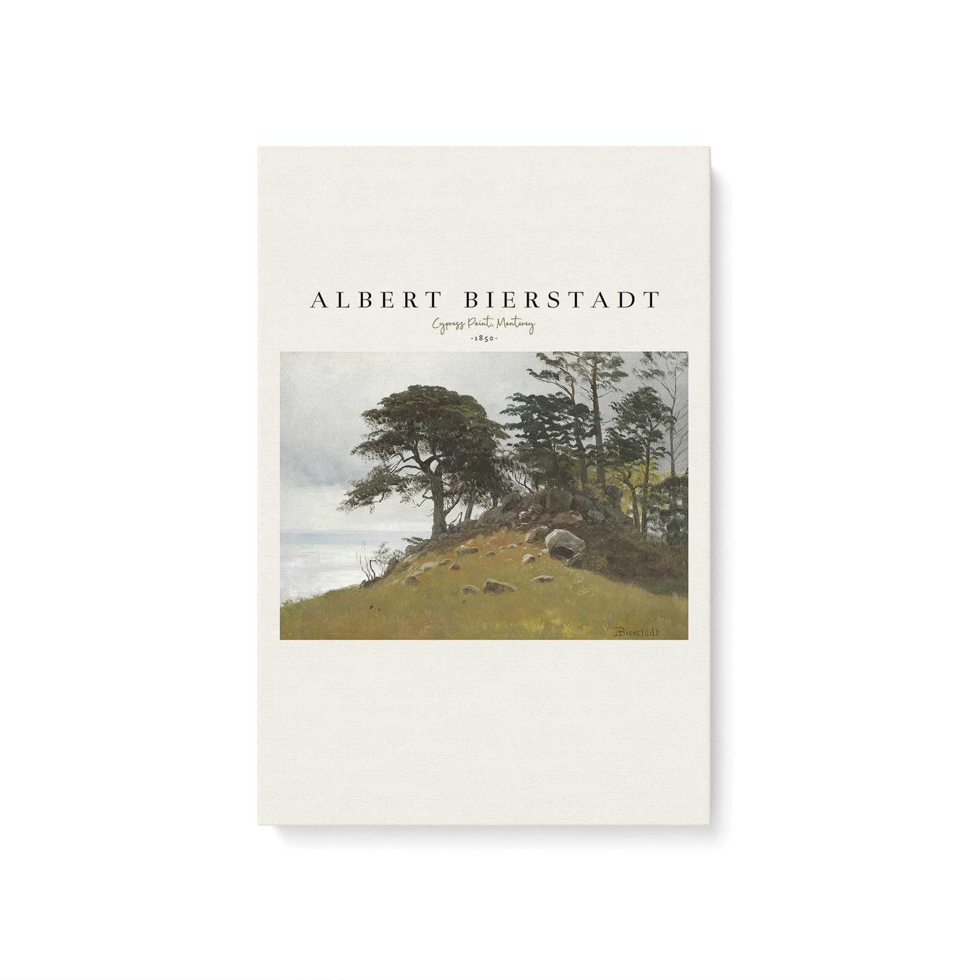 [Color:Stretched Canvas], Picture of art
