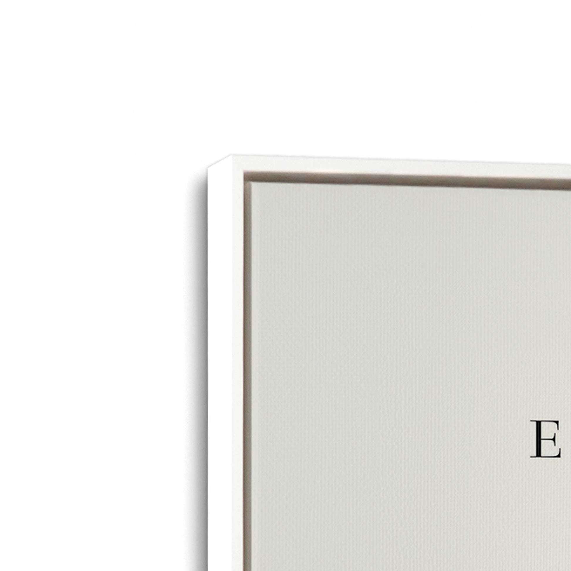 [Color:Opaque White], Picture of art in a White frame at an angle