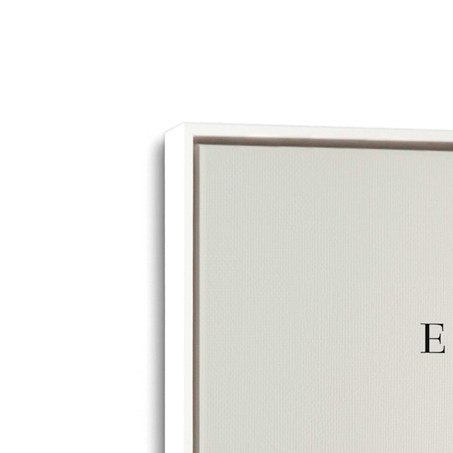 [Color:Opaque White], Picture of art in a White frame at an angle