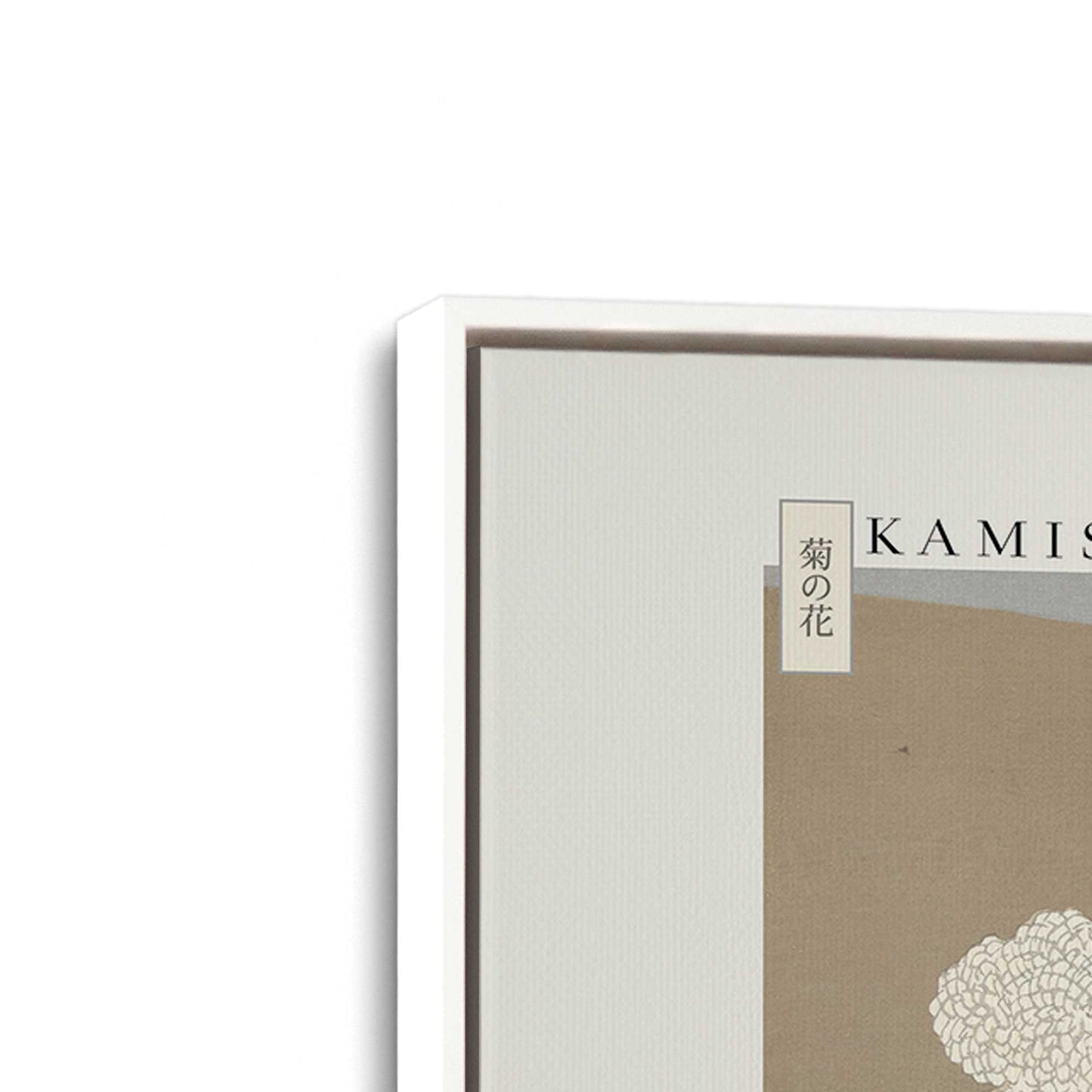 [Color:Opaque White], Picture of art in a White frame at an angle