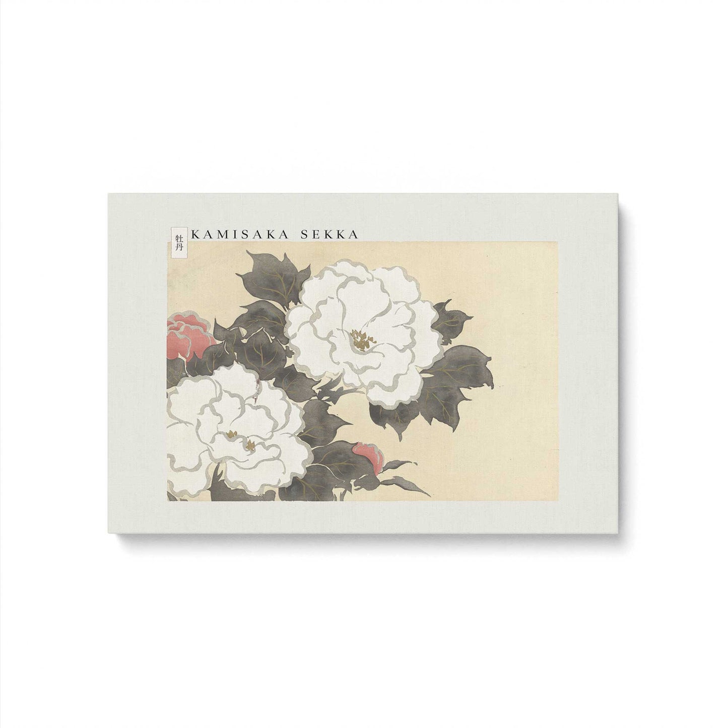 [Color:Stretched Canvas], Picture of art