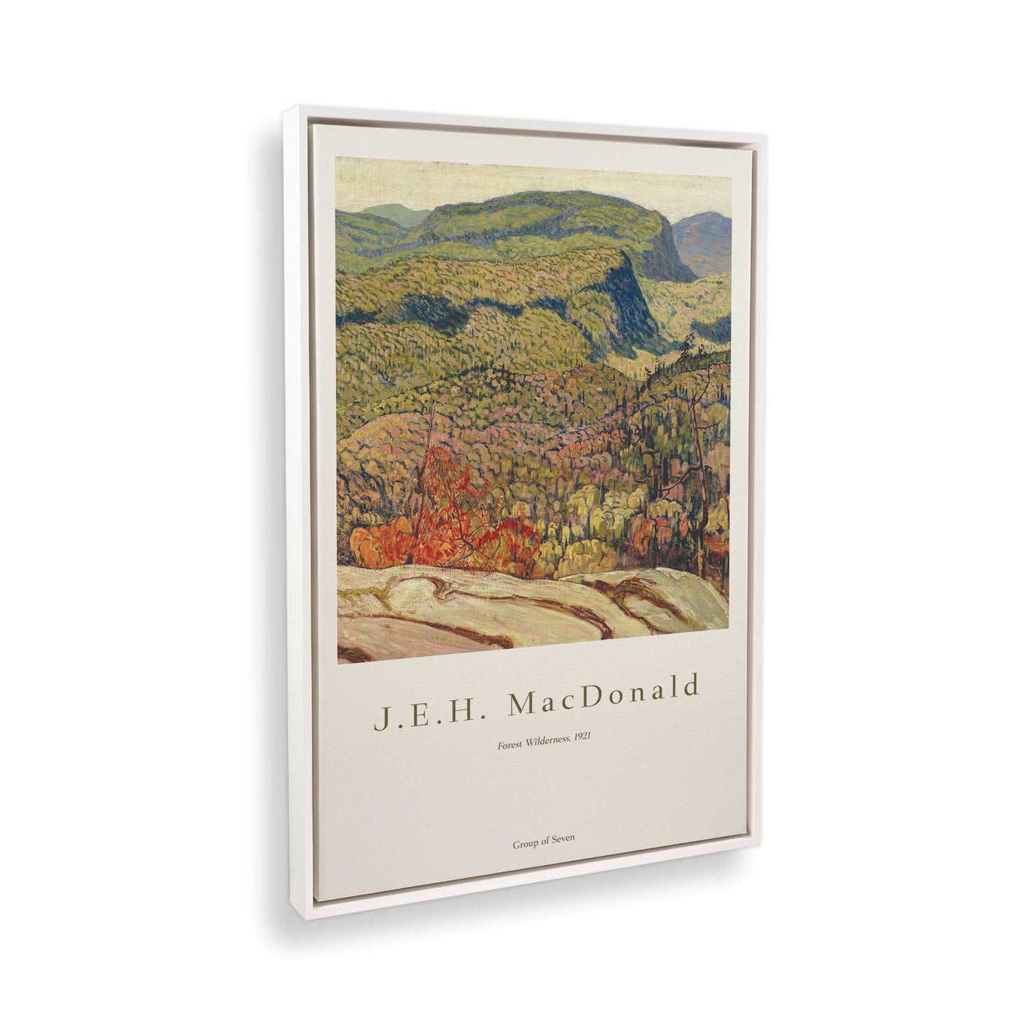 [Color:Opaque White], Picture of the corner of the art