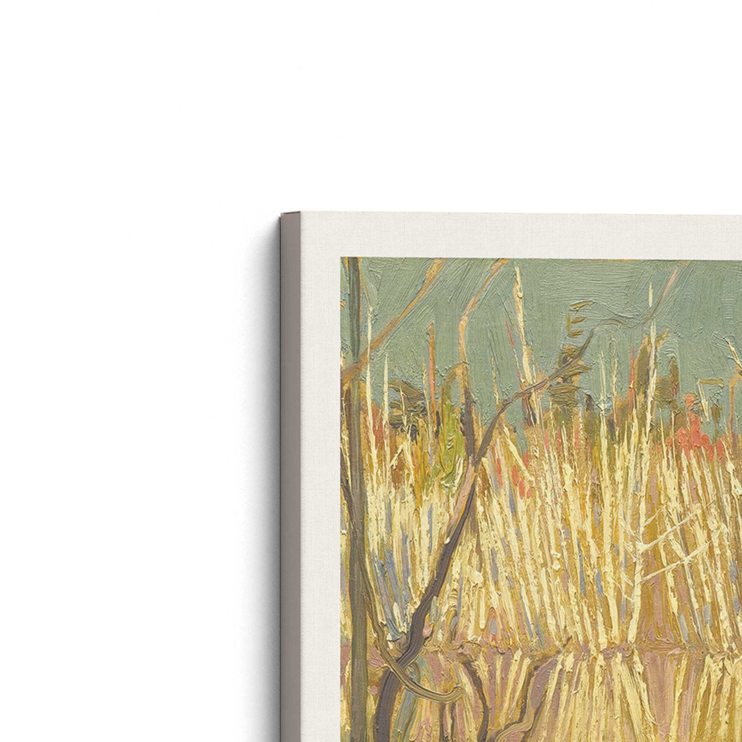 [Color:Stretched Canvas], Picture of the corner of the art