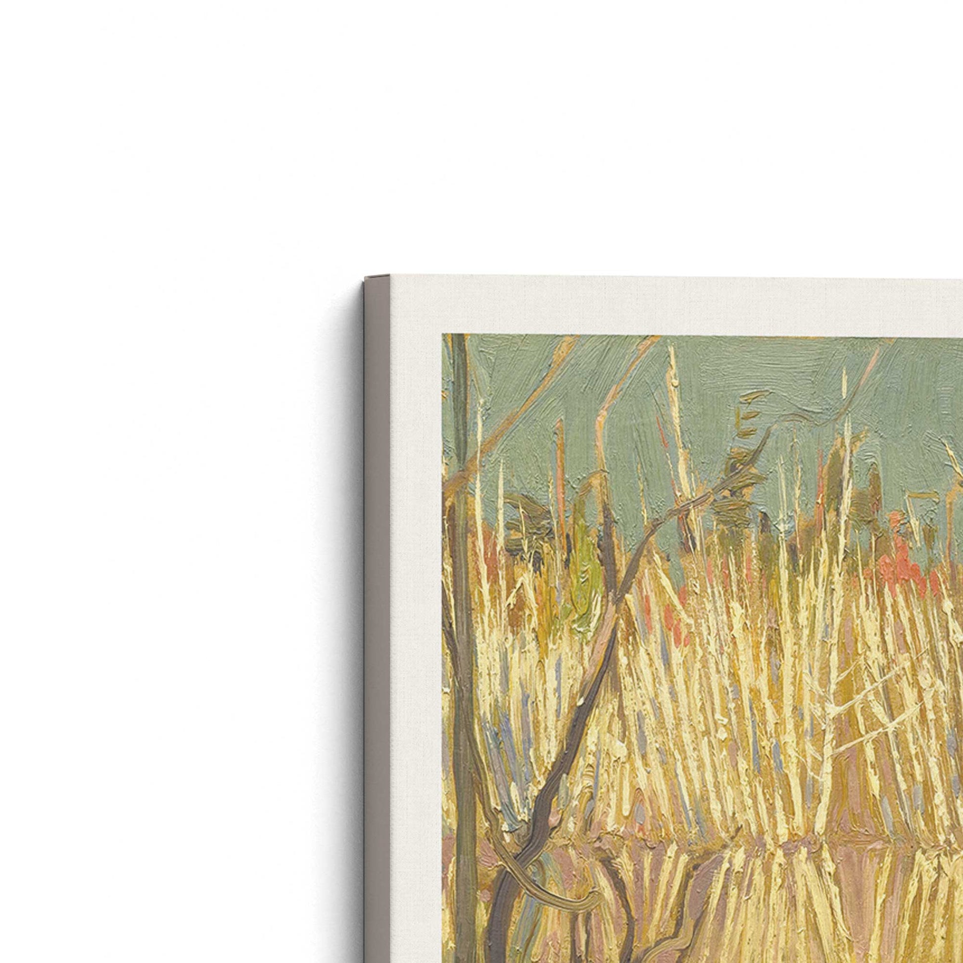 [Color:Stretched Canvas], Picture of the corner of the art
