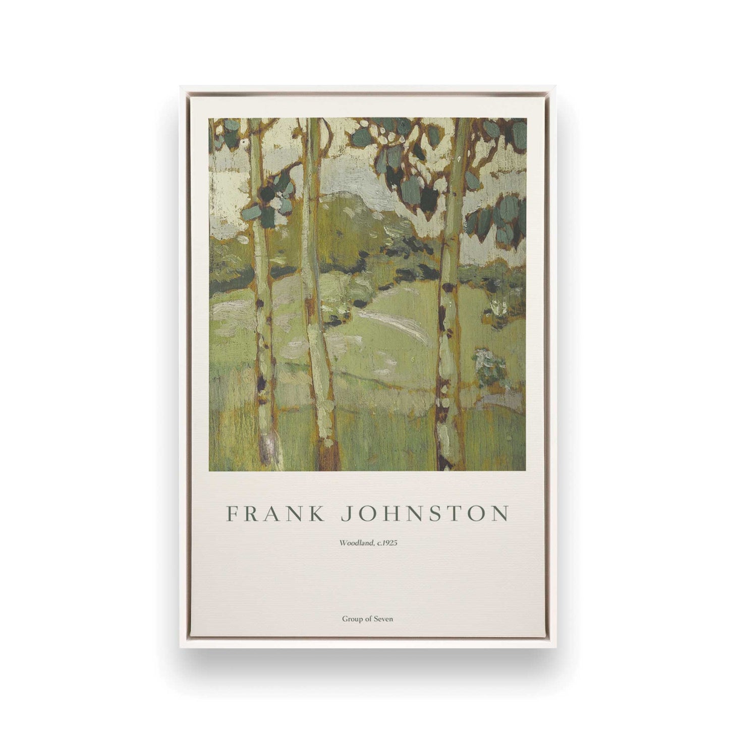 [Color:Opaque White], Picture of art in a White frame