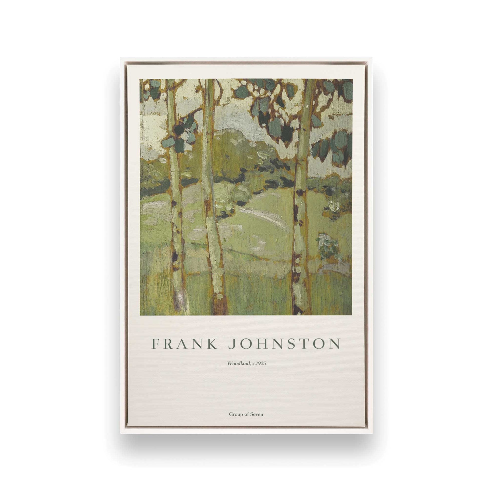 [Color:Opaque White], Picture of art in a White frame