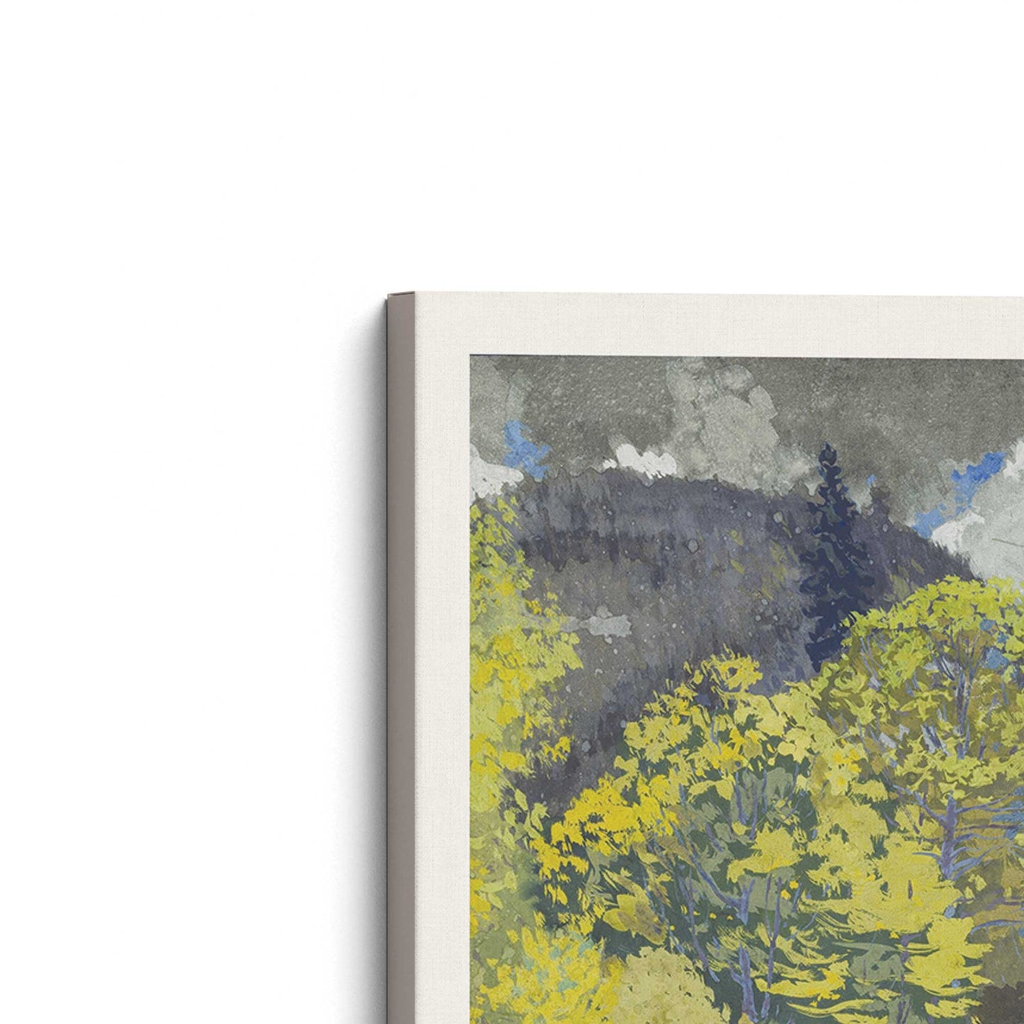 [Color:Stretched Canvas], Picture of the corner of the art