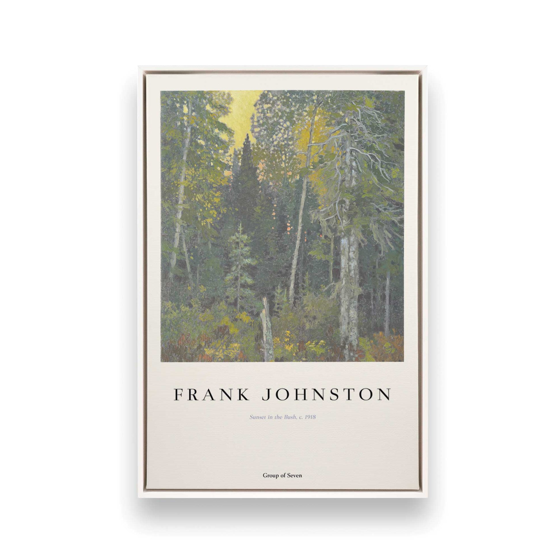 [Color:Opaque White], Picture of art in a White frame
