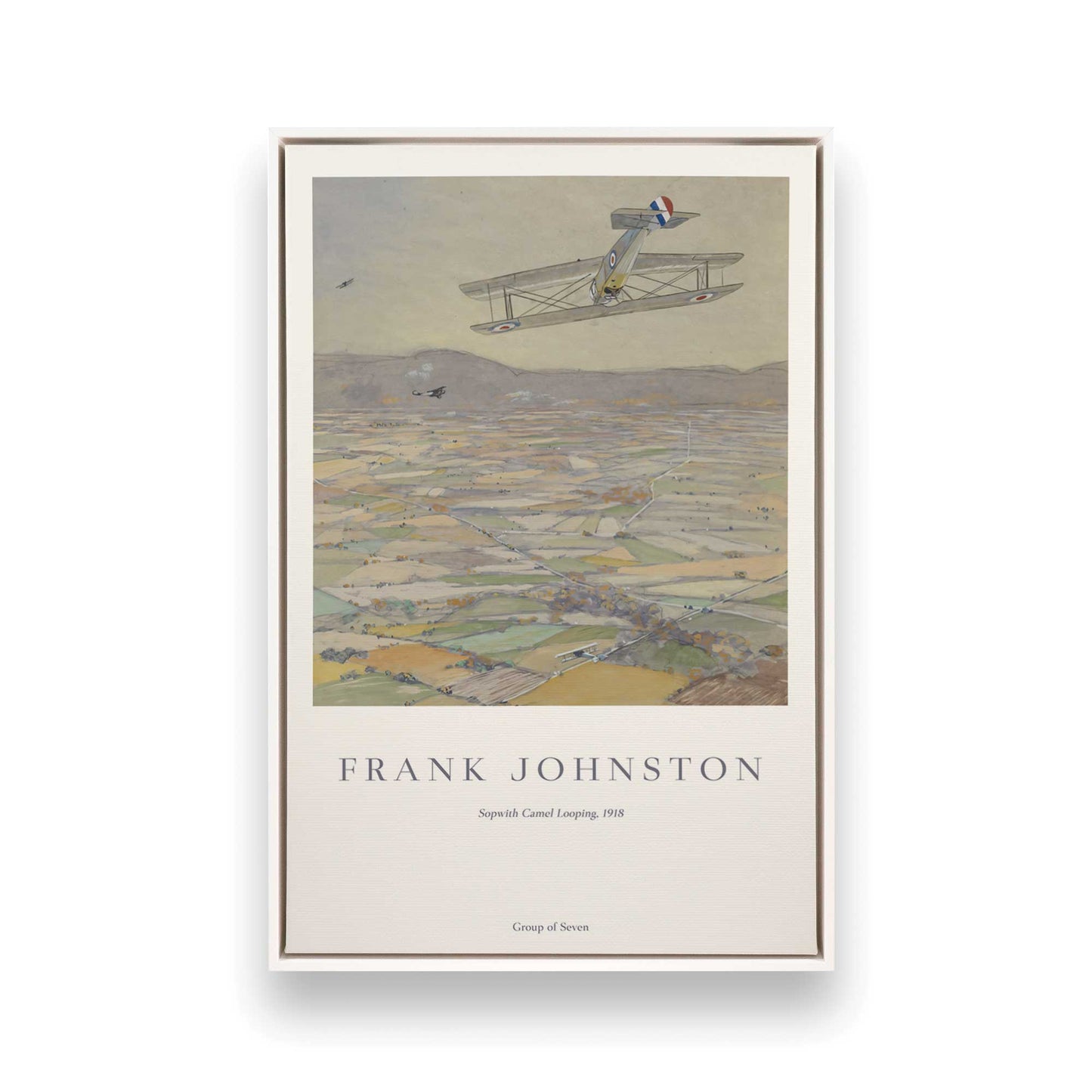 [Color:Opaque White], Picture of art in a White frame