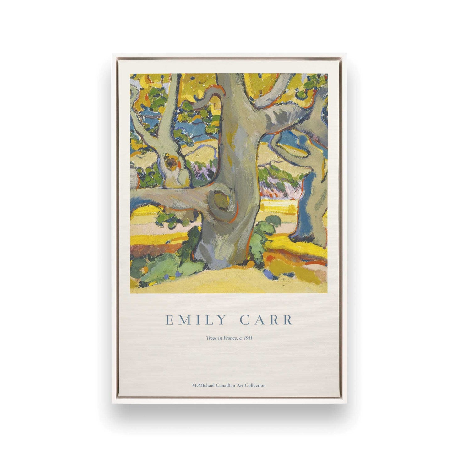 [Color:Opaque White], Picture of art in a White frame