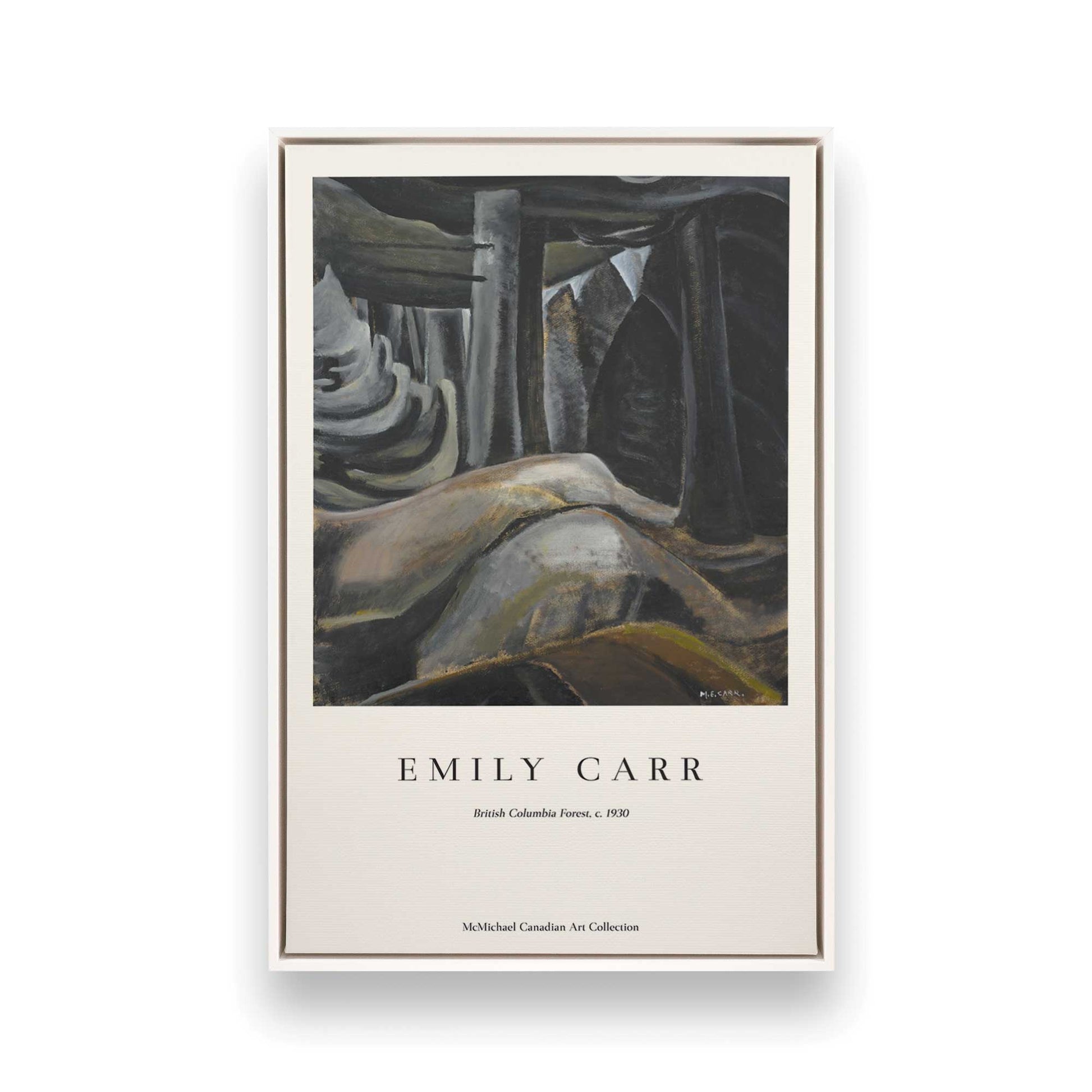 [Color:Opaque White], Picture of art in a White frame