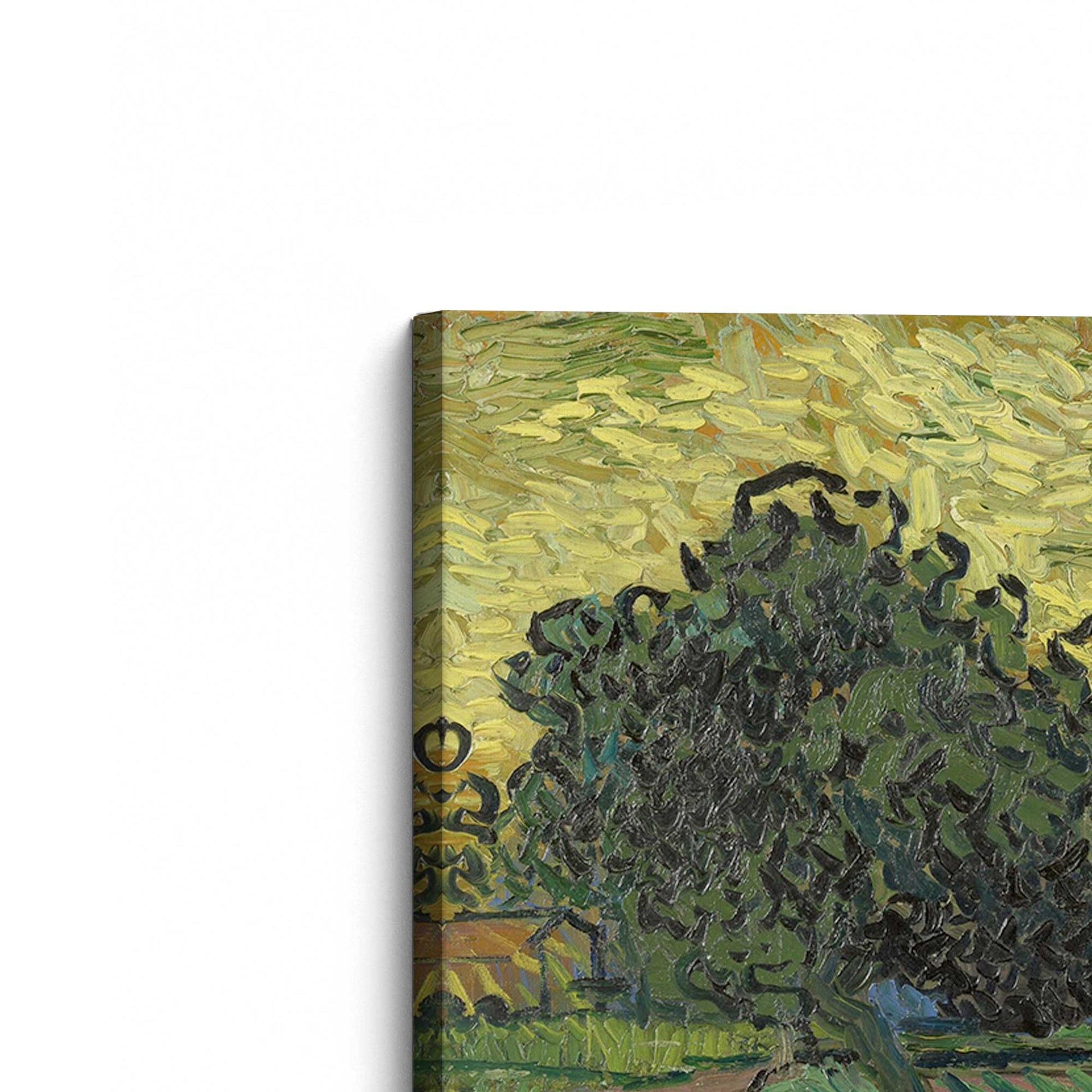 [Color:Stretched Canvas], Picture of the corner of the art