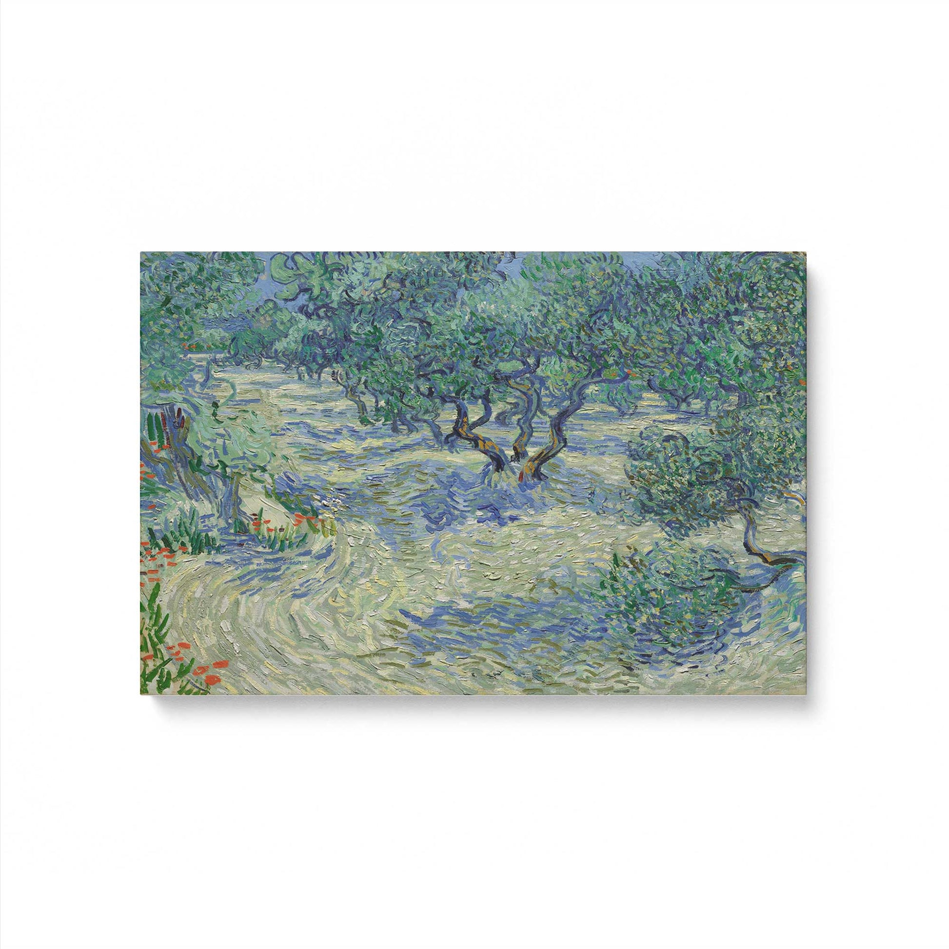 [Color:Stretched Canvas], Picture of art