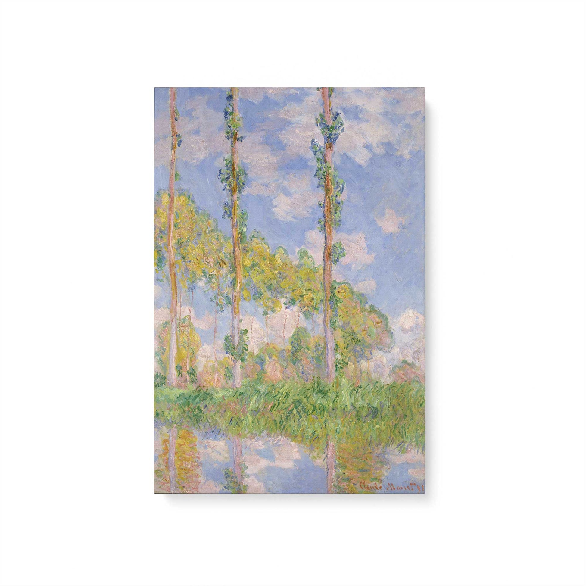 [Color:Stretched Canvas], Picture of art