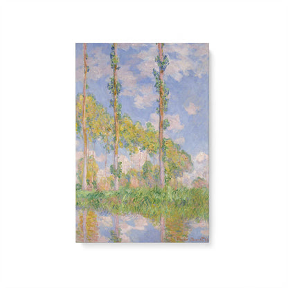 [Color:Stretched Canvas], Picture of art