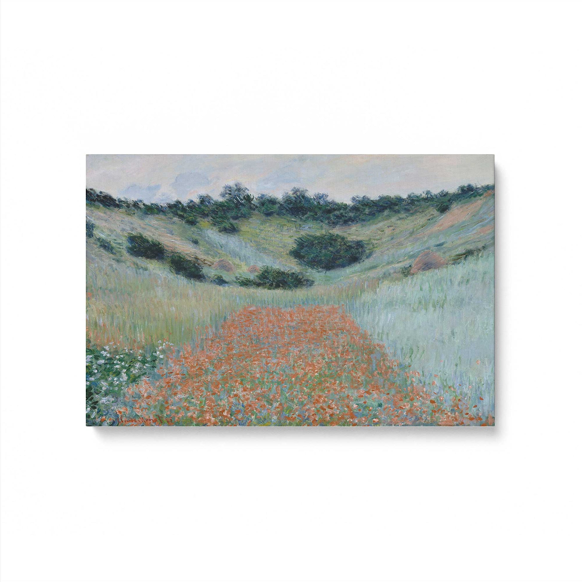 [Color:Stretched Canvas], Picture of art