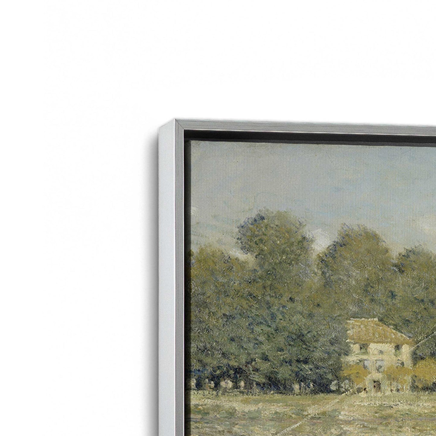 [Color:Polished Chrome], Picture of art in a Polished Chrome frame at an angle