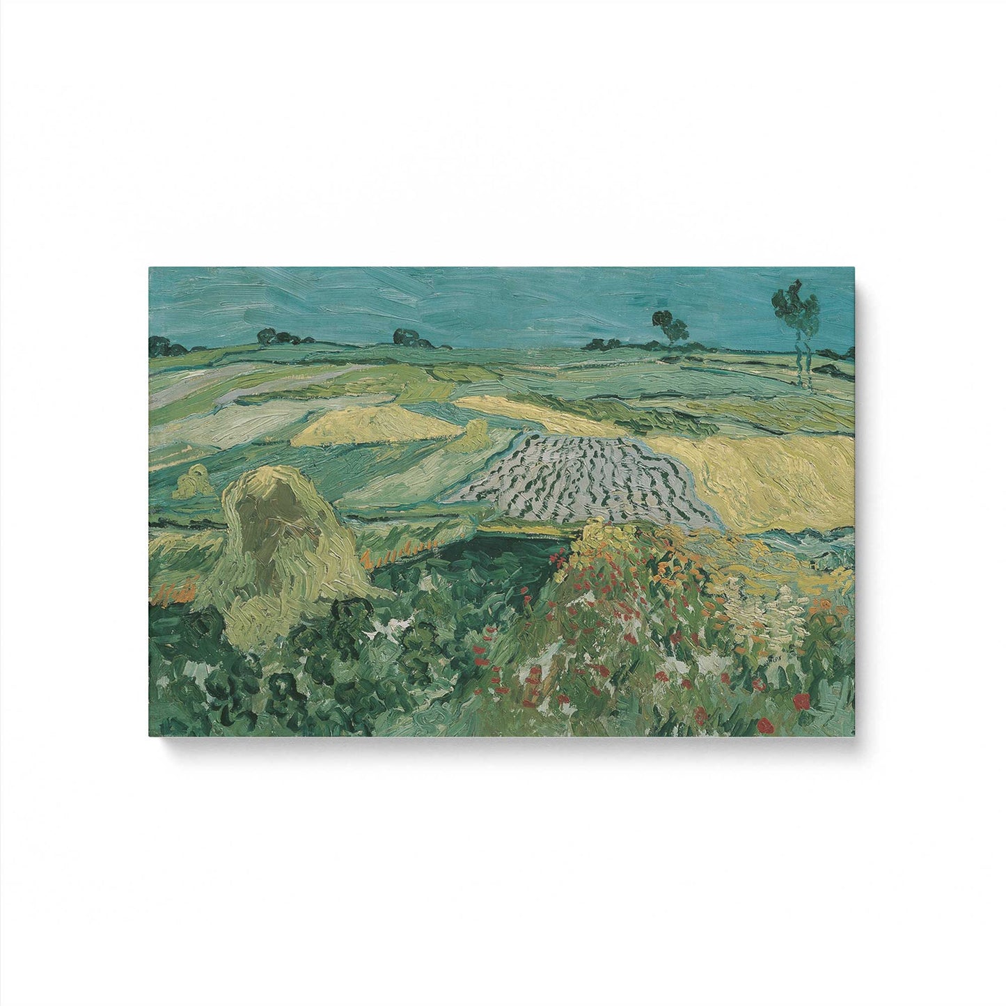 [Color:Stretched Canvas], Picture of art
