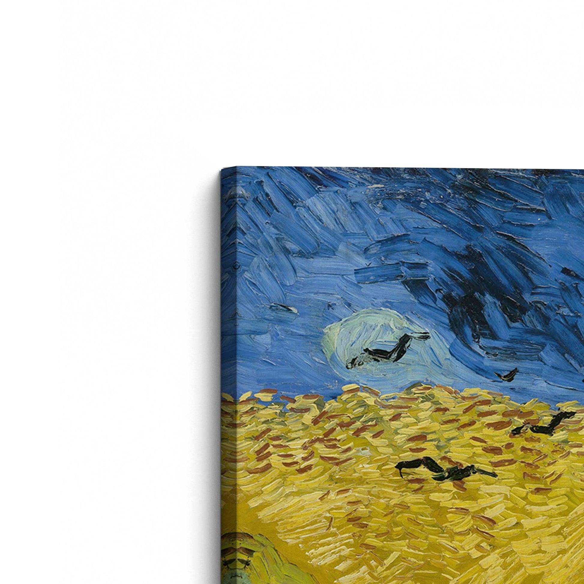 [Color:Stretched Canvas], Picture of the corner of the art