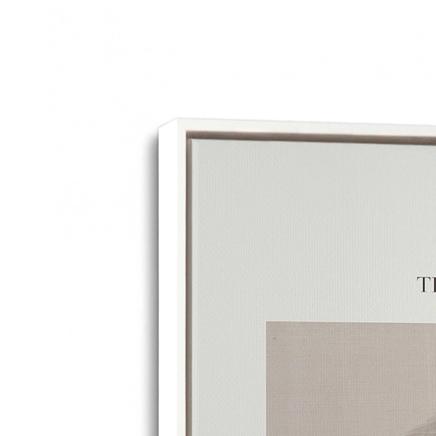 [Color:Opaque White], Picture of art in a White frame at an angle