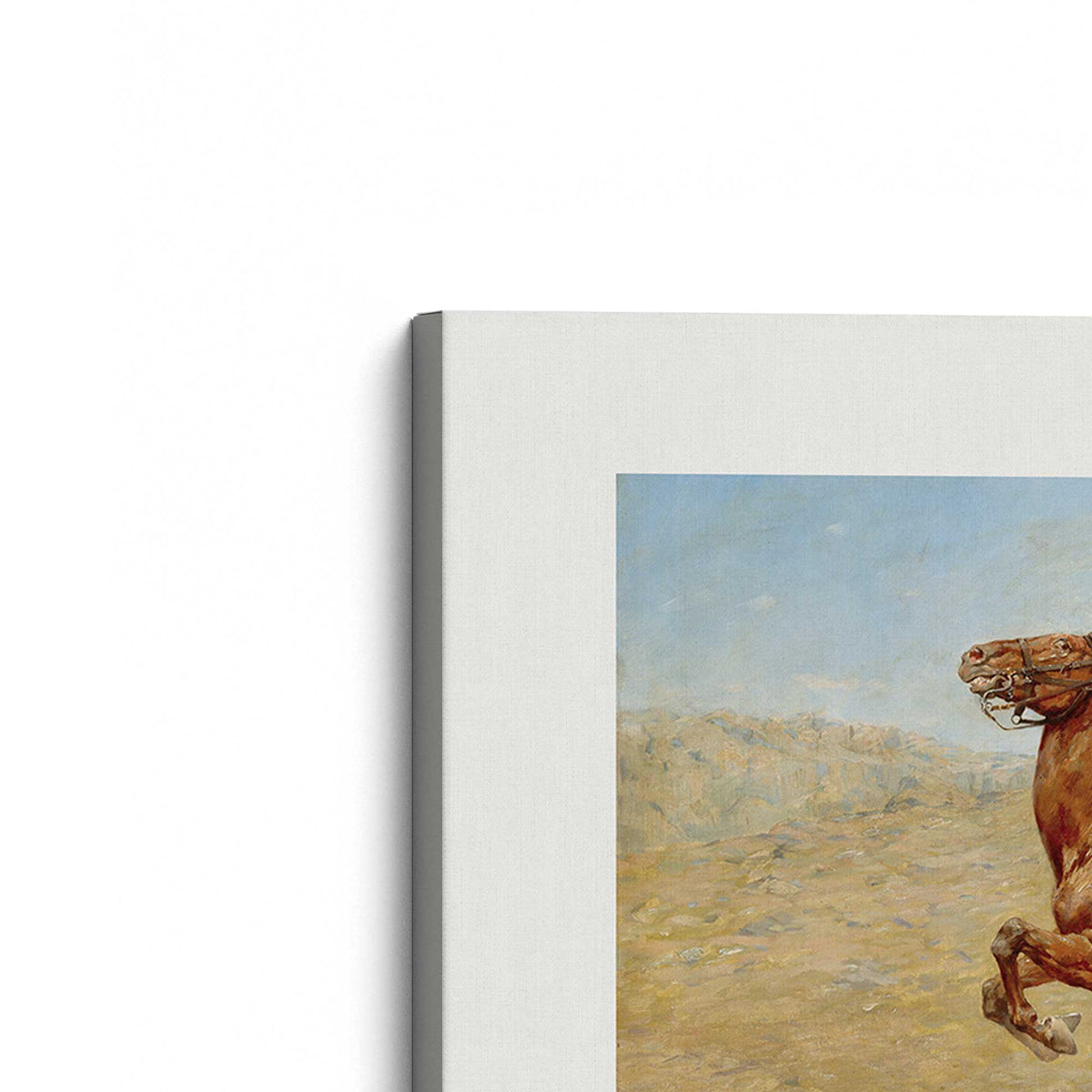 [Color:Stretched Canvas], Picture of the corner of the art